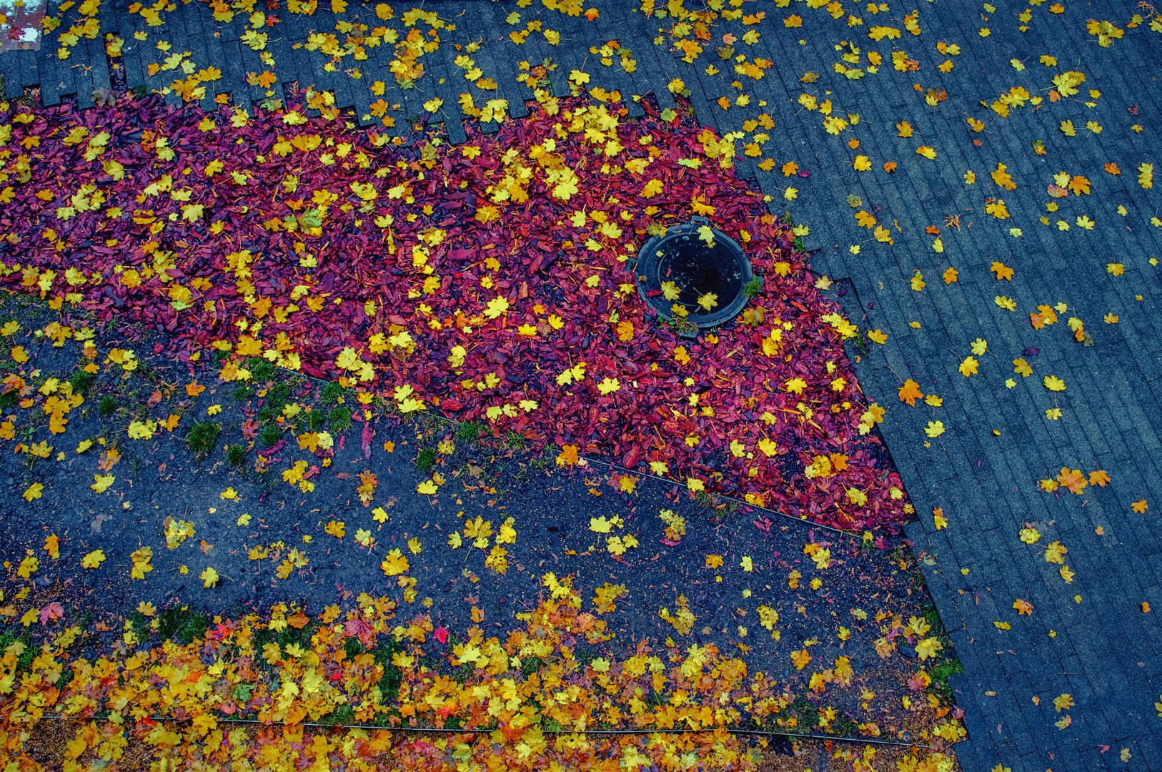 Руслан Шувалов (поэтограф)