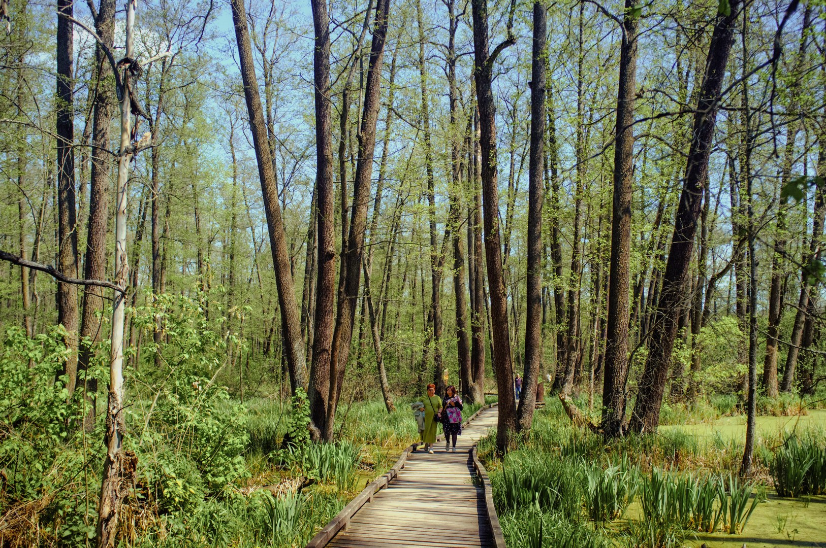 Руслан Шувалов (поэтограф)