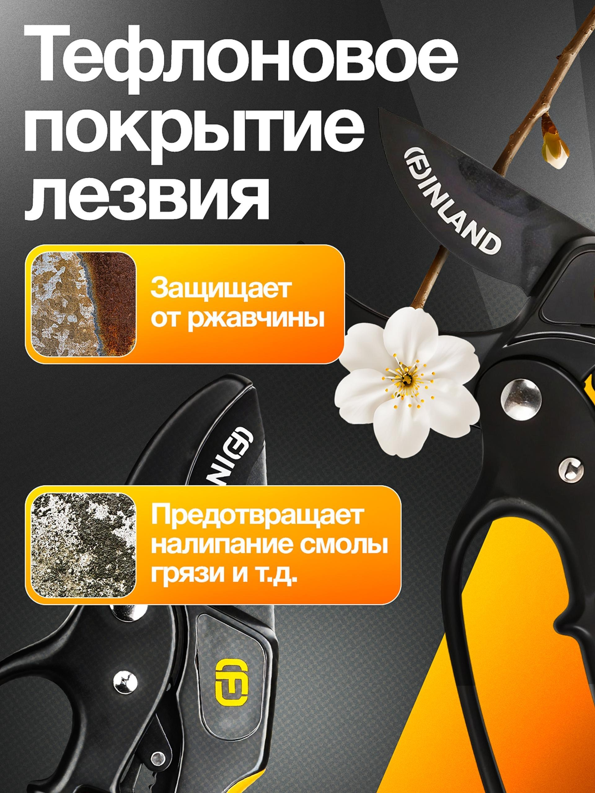 Vexora студия дизайна для e-commerce, рост продаж на Wildberries и Ozon