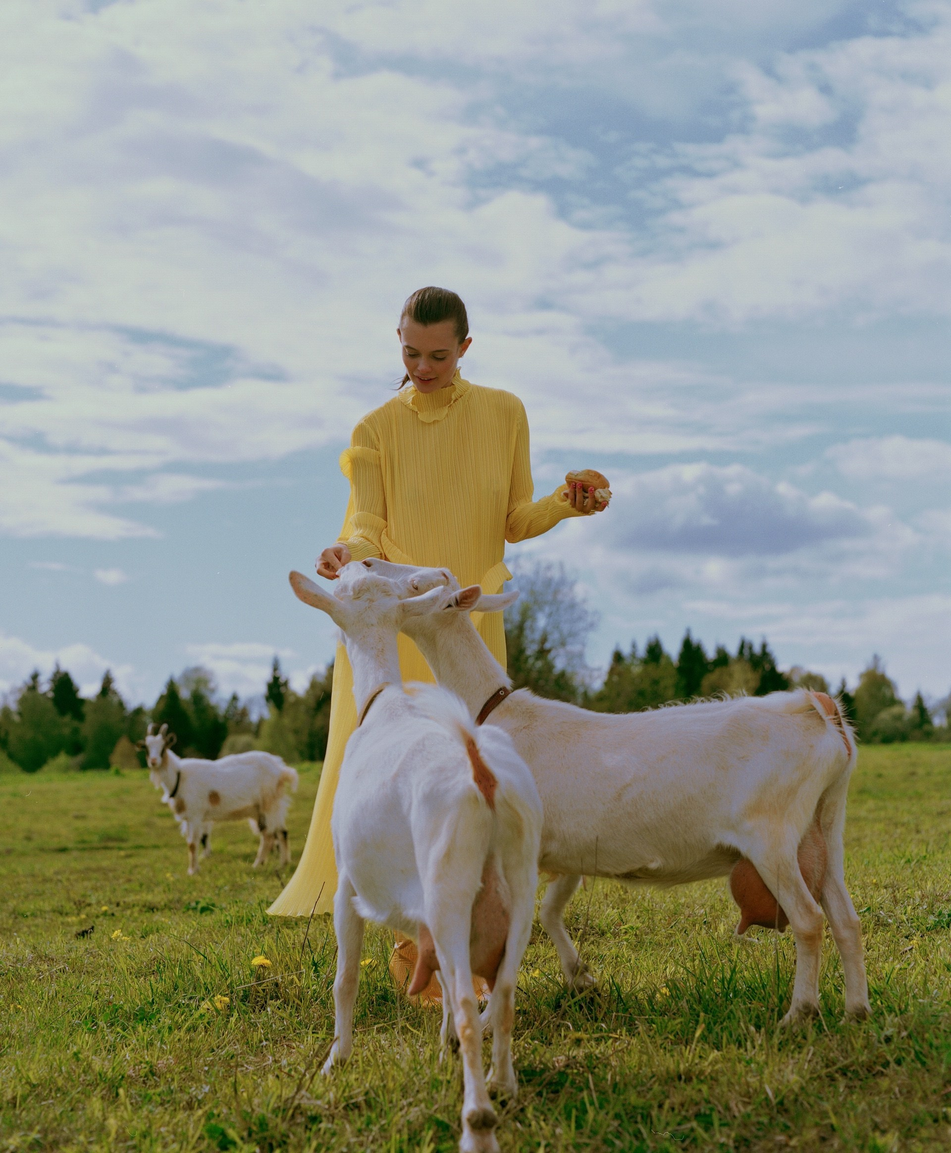 Академия Фотографии Константина Сорокина — обучение для фотографов