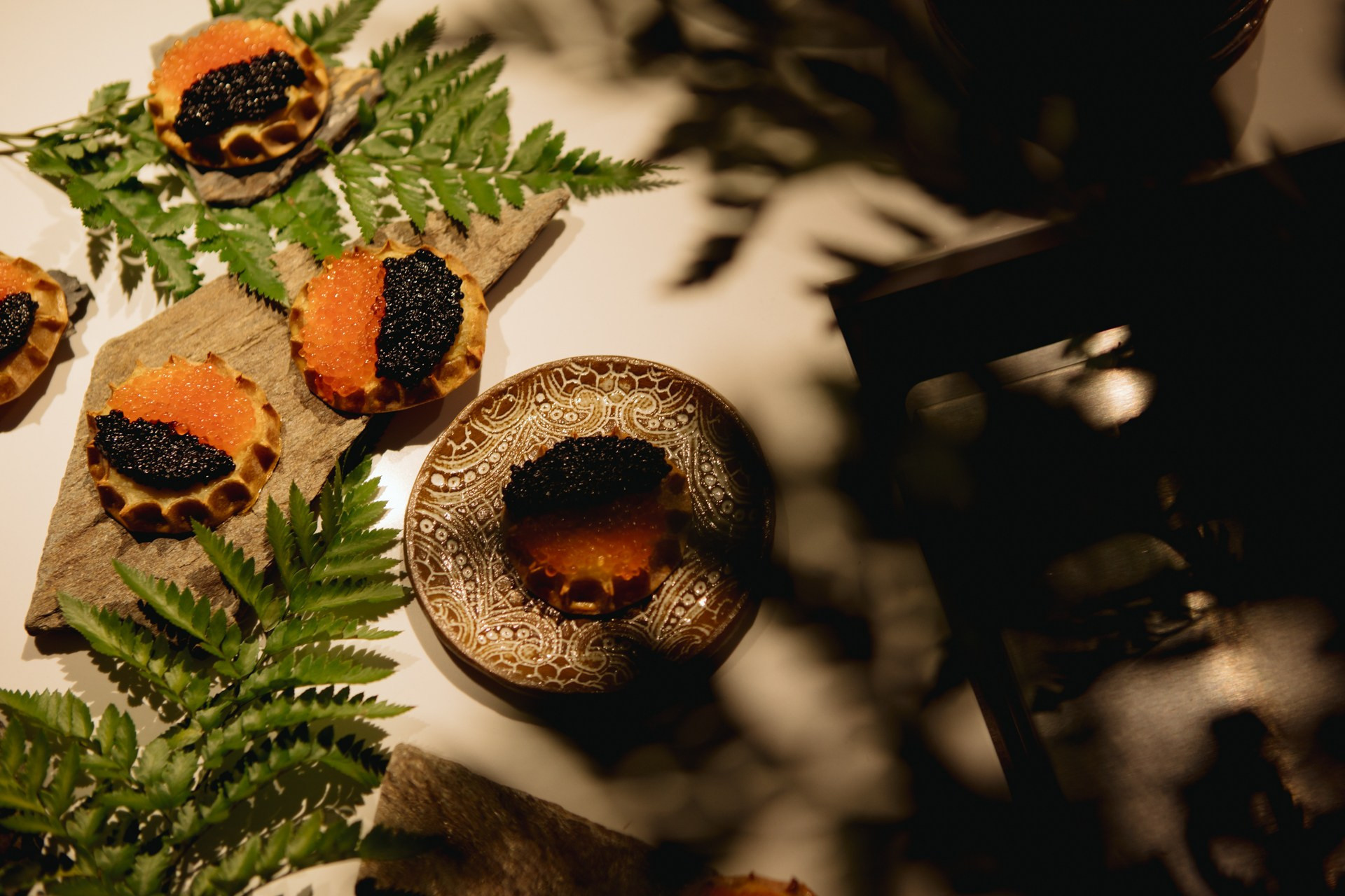 Night2Day Санкт-Петербург