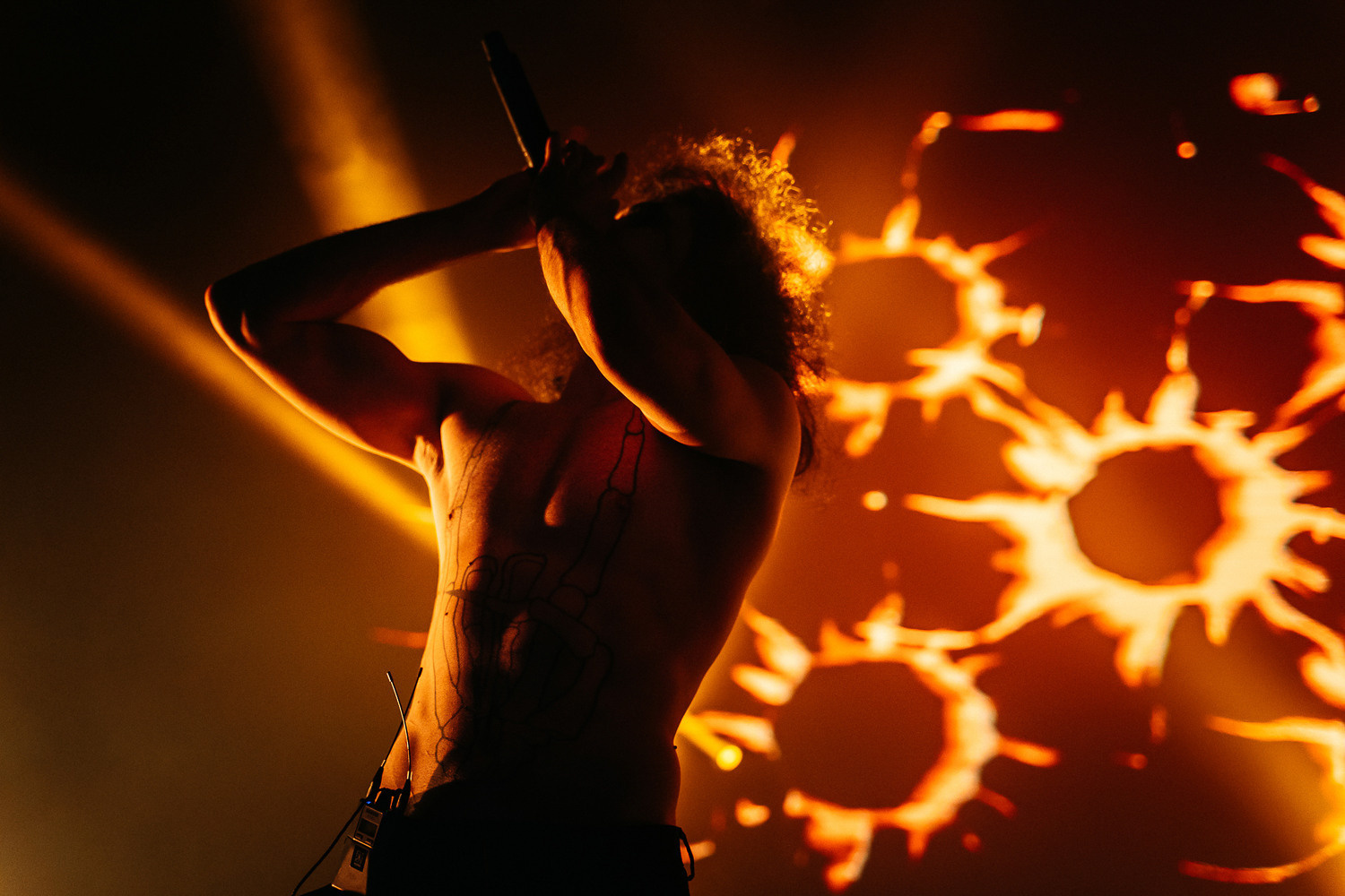 Night2Day Санкт-Петербург