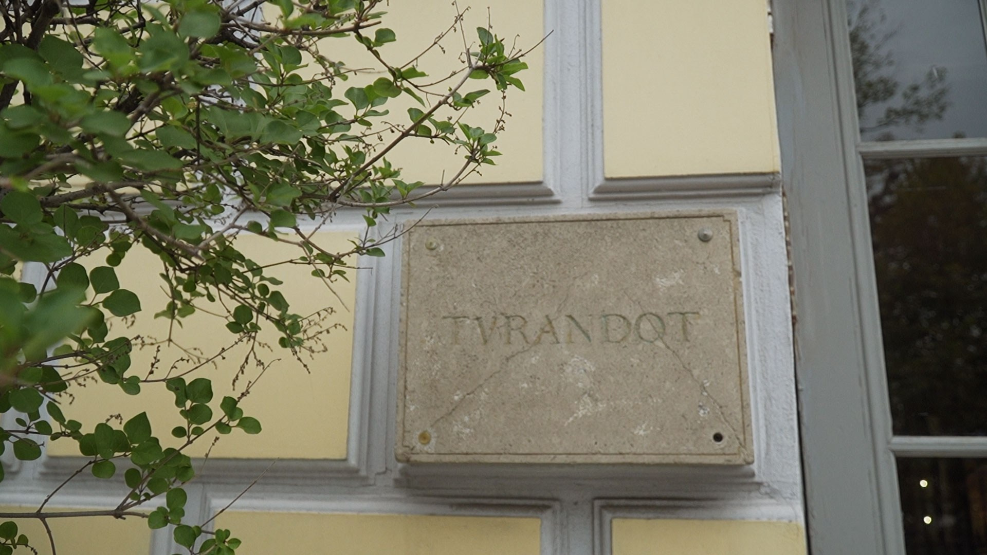 Свадьба Насти и Никиты. 2023. Фотограф и видеограф в Москве и Абу Даби Мария Кулагина