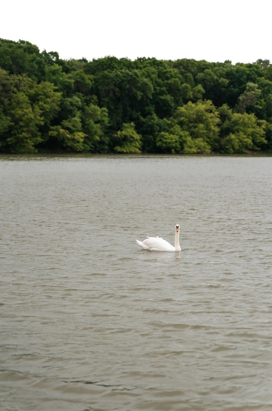 Фото + видео. Свадебный и семейный фотограф