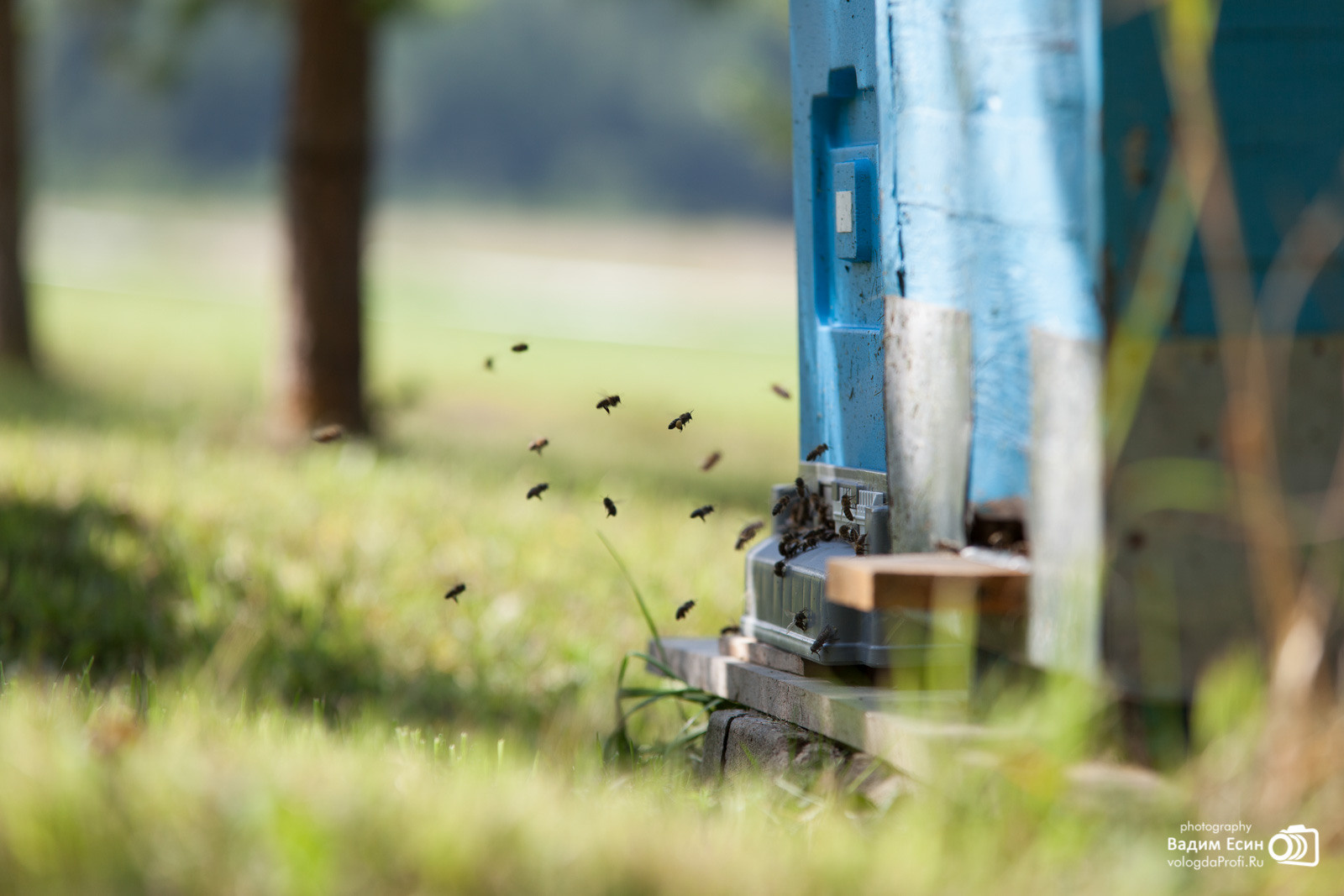 Репортажная фотосъемка