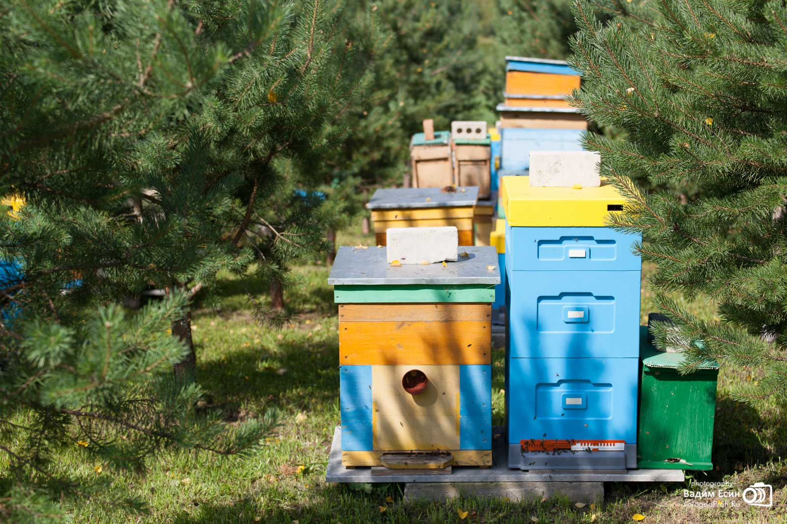 Репортажная фотосъемка