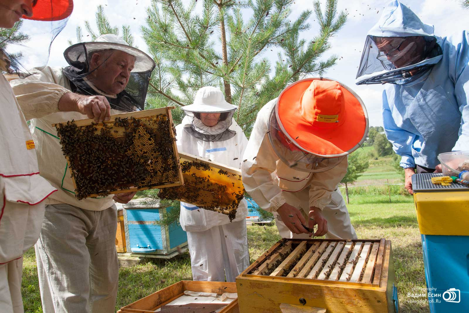 Репортажная фотосъемка