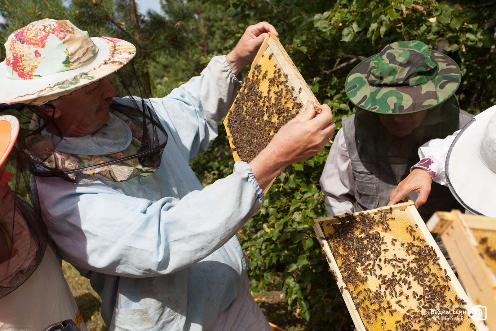 Репортажная фотосъемка