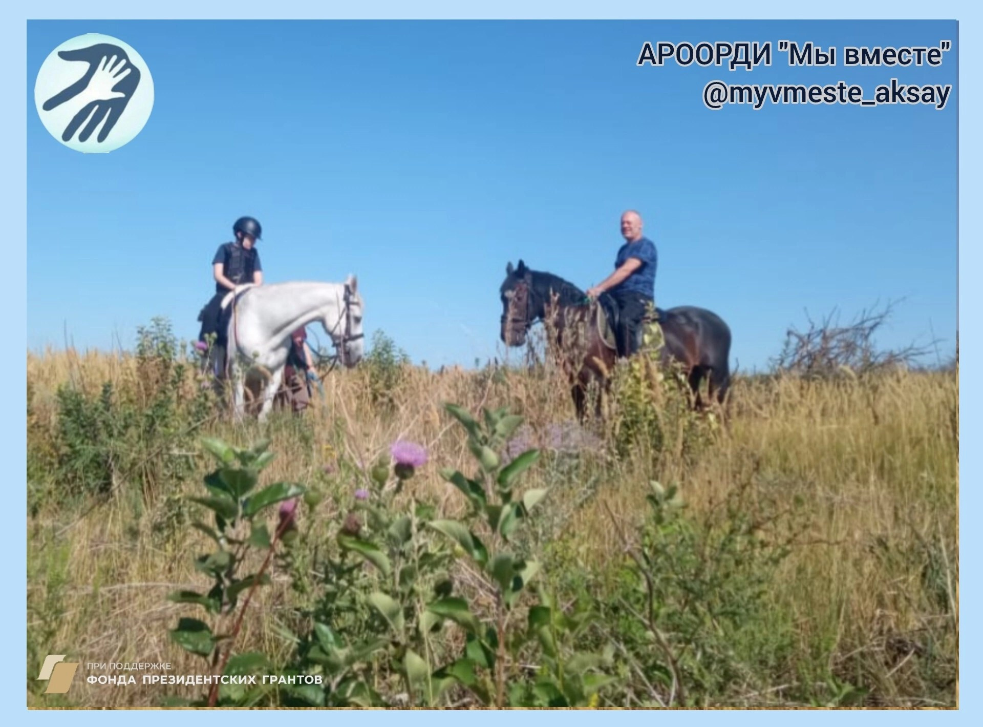 Иппотерапия для всей семьи