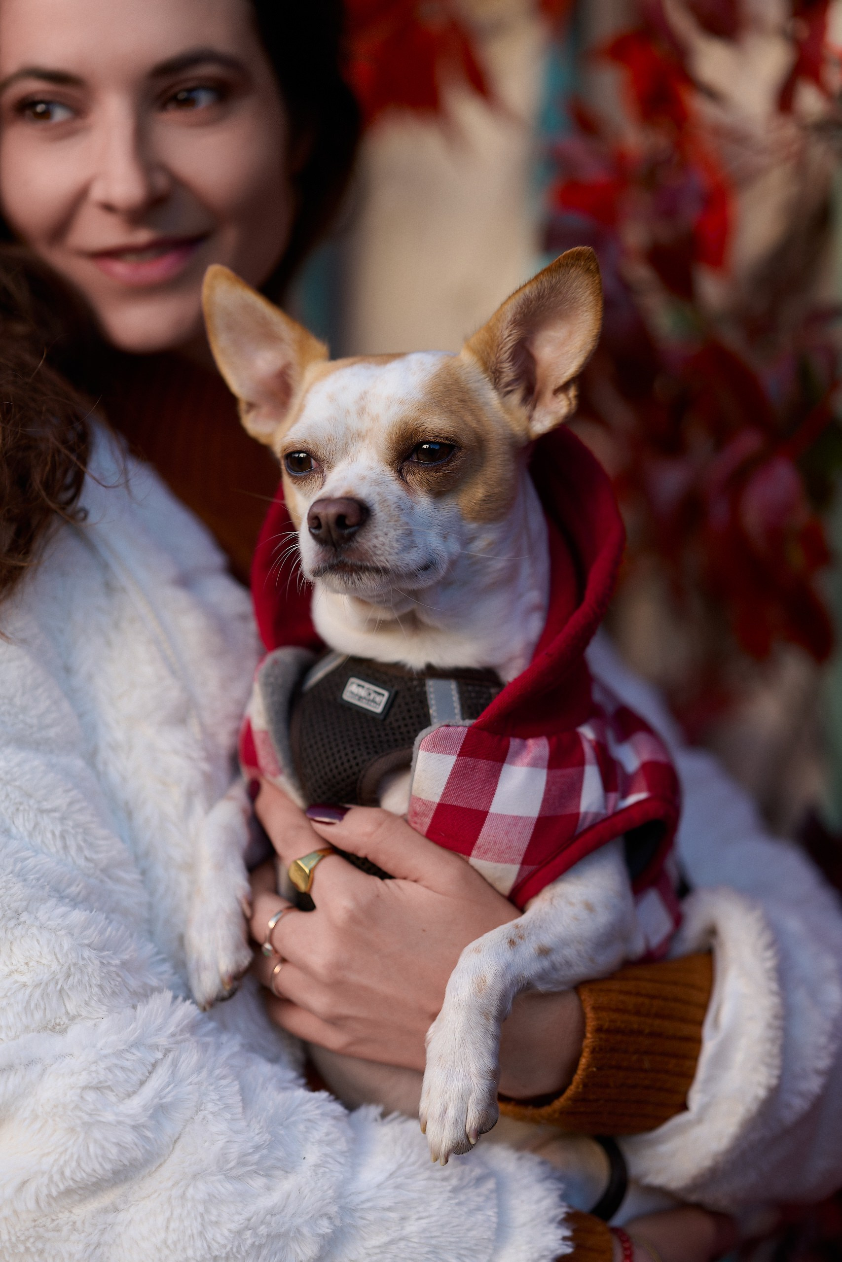 Autumn Portraits with Margaretha — Art Samara Photography. Nikolay Samara — Portrait, Lifestyle, Event & Work and Sport Photography in Bratislava