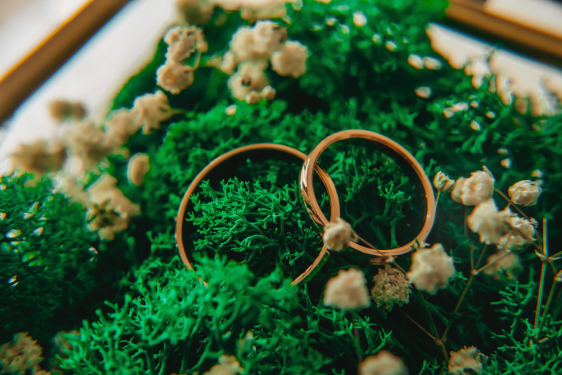 Фотограф Сергей Лукьяненко