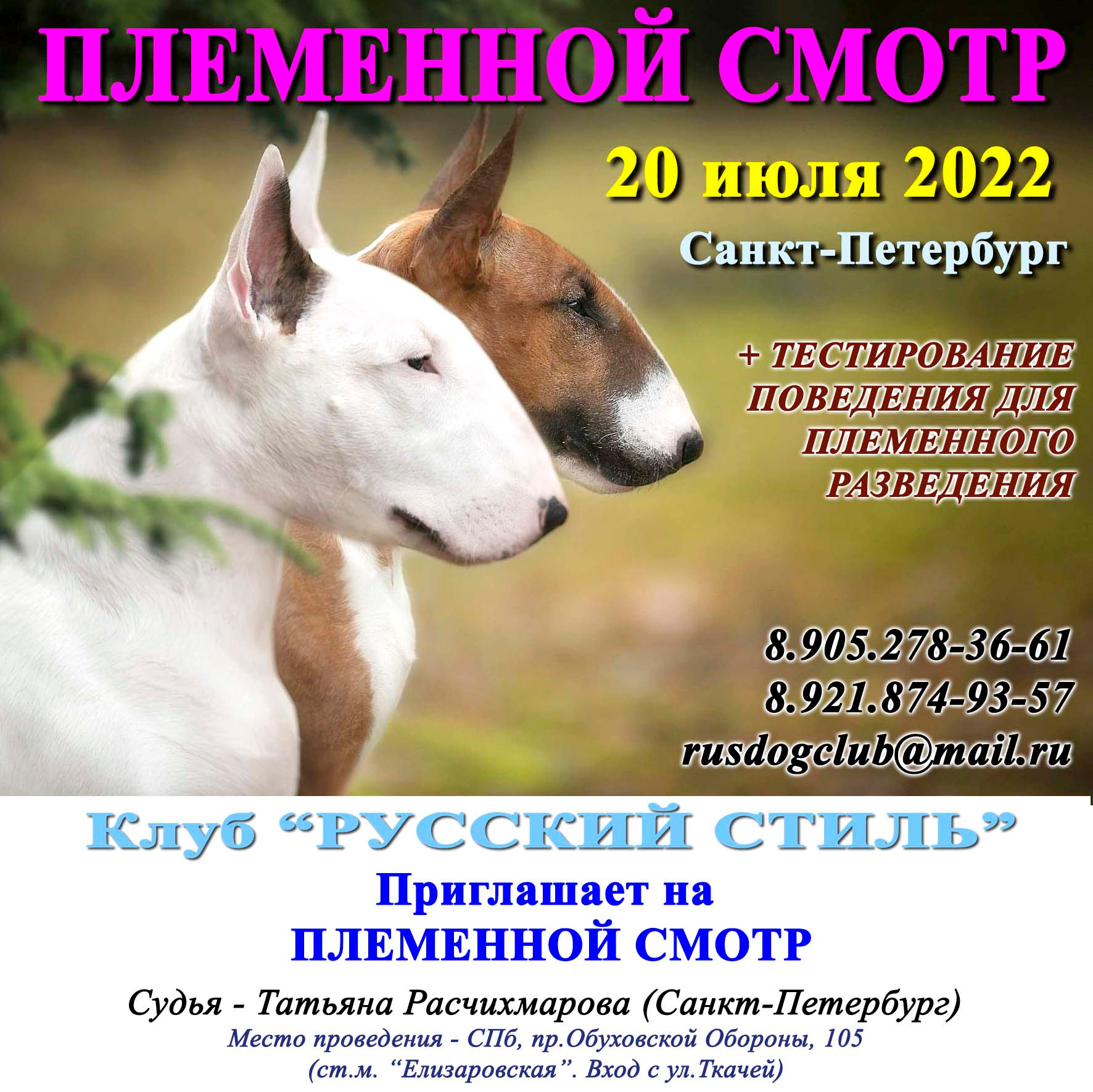 ПЛЕМЕННОЙ СМОТР 15.01.2026. Кинологический клуб РКФ РФСС СЕНСАЦИЯ