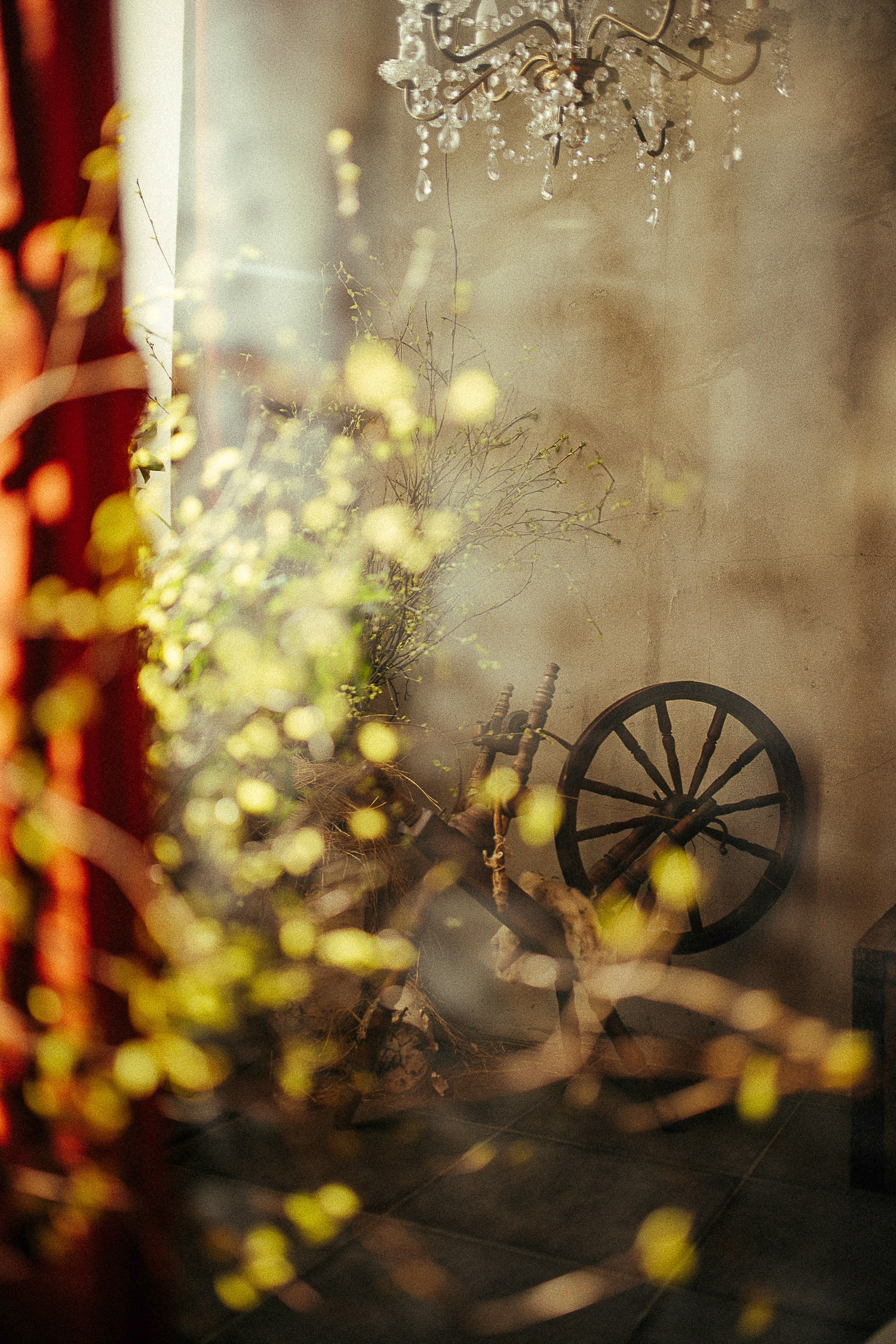 Фотостудия «Зачарованный Сад» в 20 минутах от центра Екатеринбурга