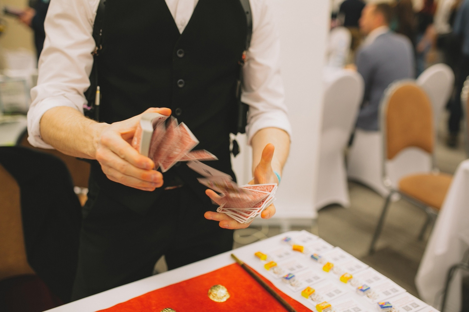 Волшебное шоу. Фокусы. Гипноз. Концерт в Доме Шрёдера. Дом Шрёдера