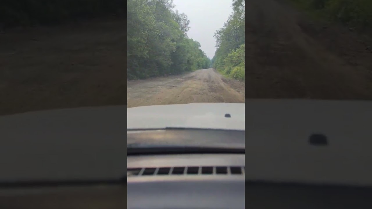 Удэгейша. Колентеева Наталья/фотограф