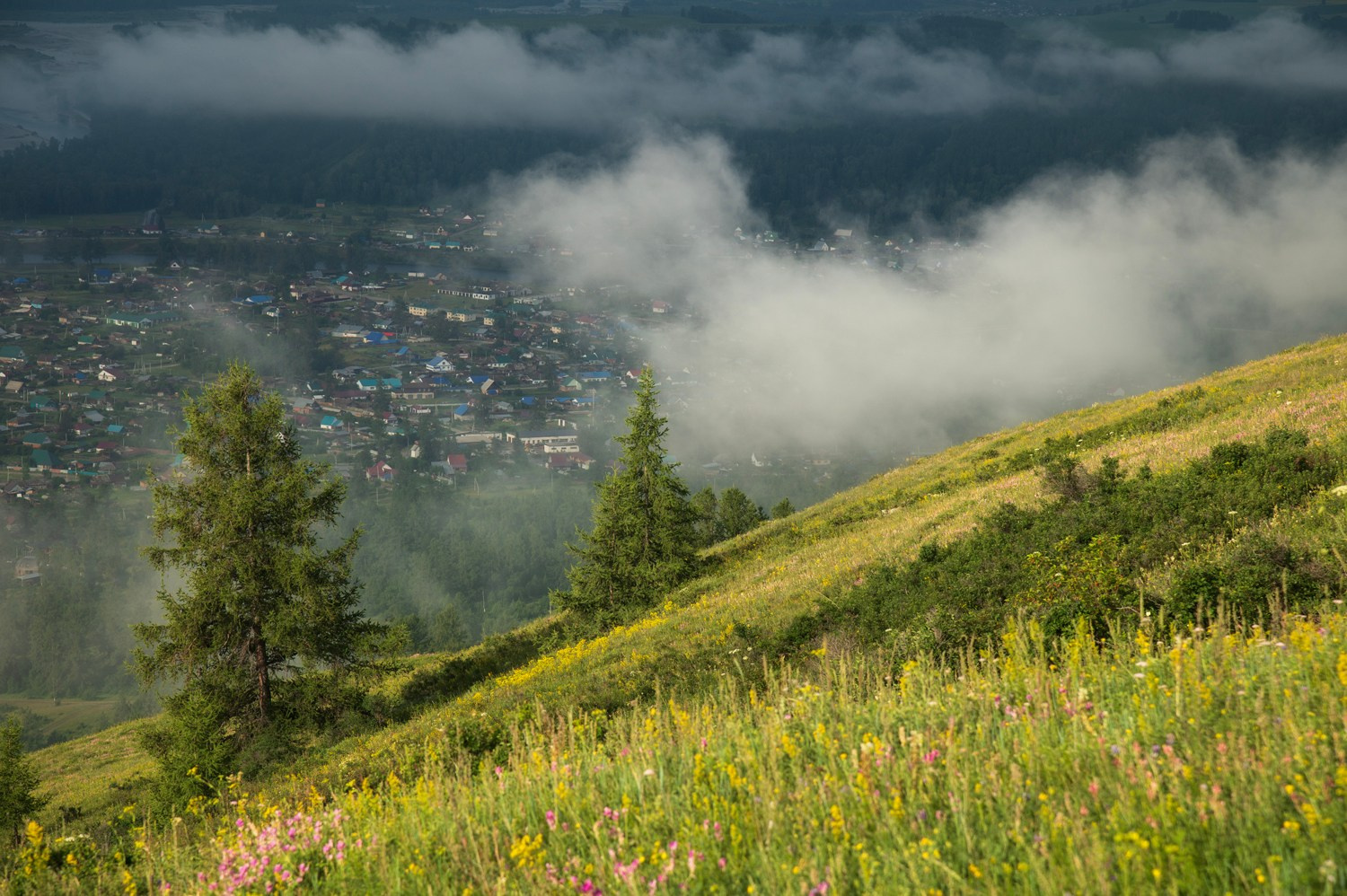 Пейзажный фотограф Алёна Рубан переехала из Белокурихи в Горный Алтай, с. Усть-Коксу