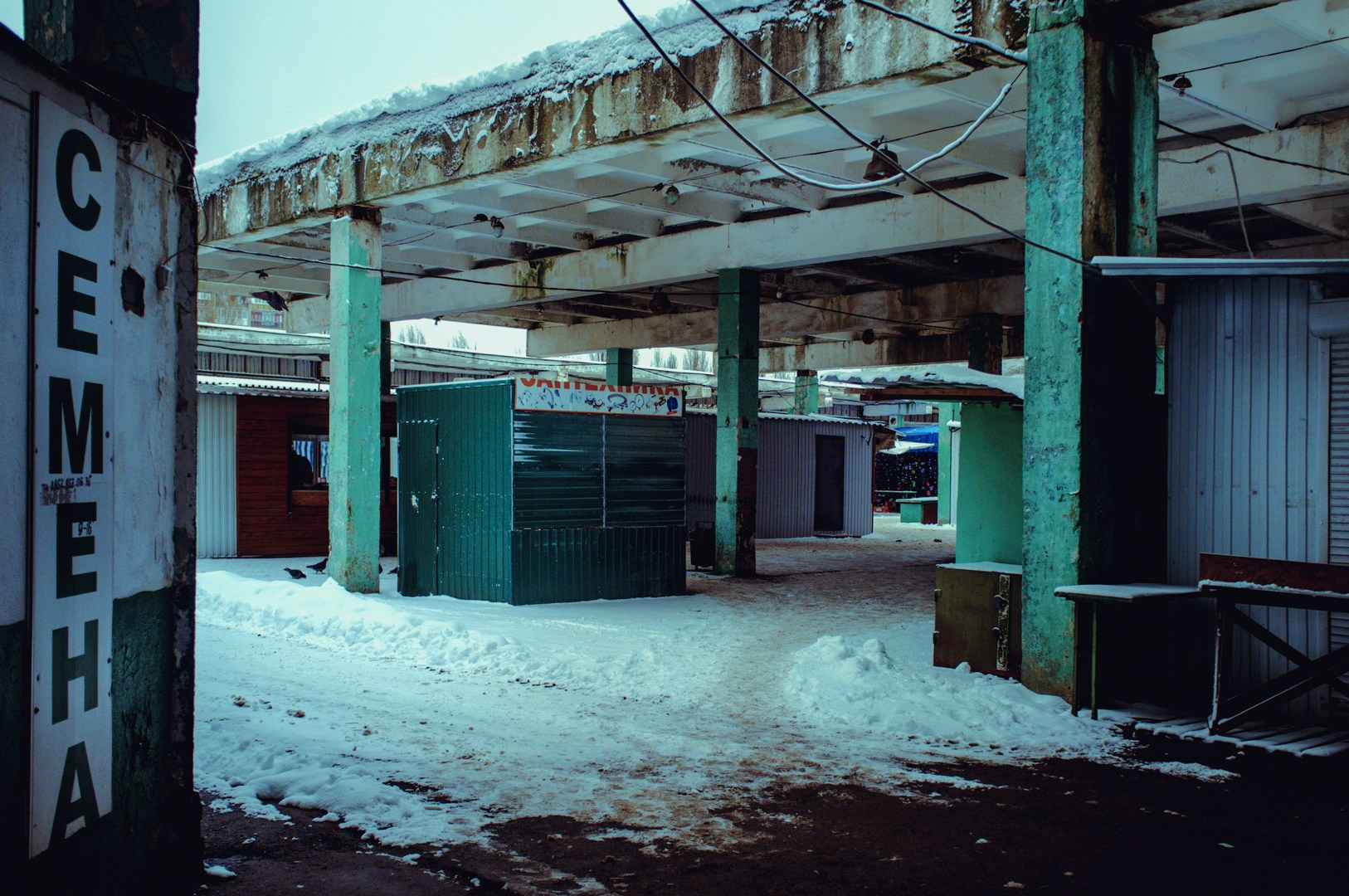 Зима уходящая. Руслан Шувалов (поэтограф)