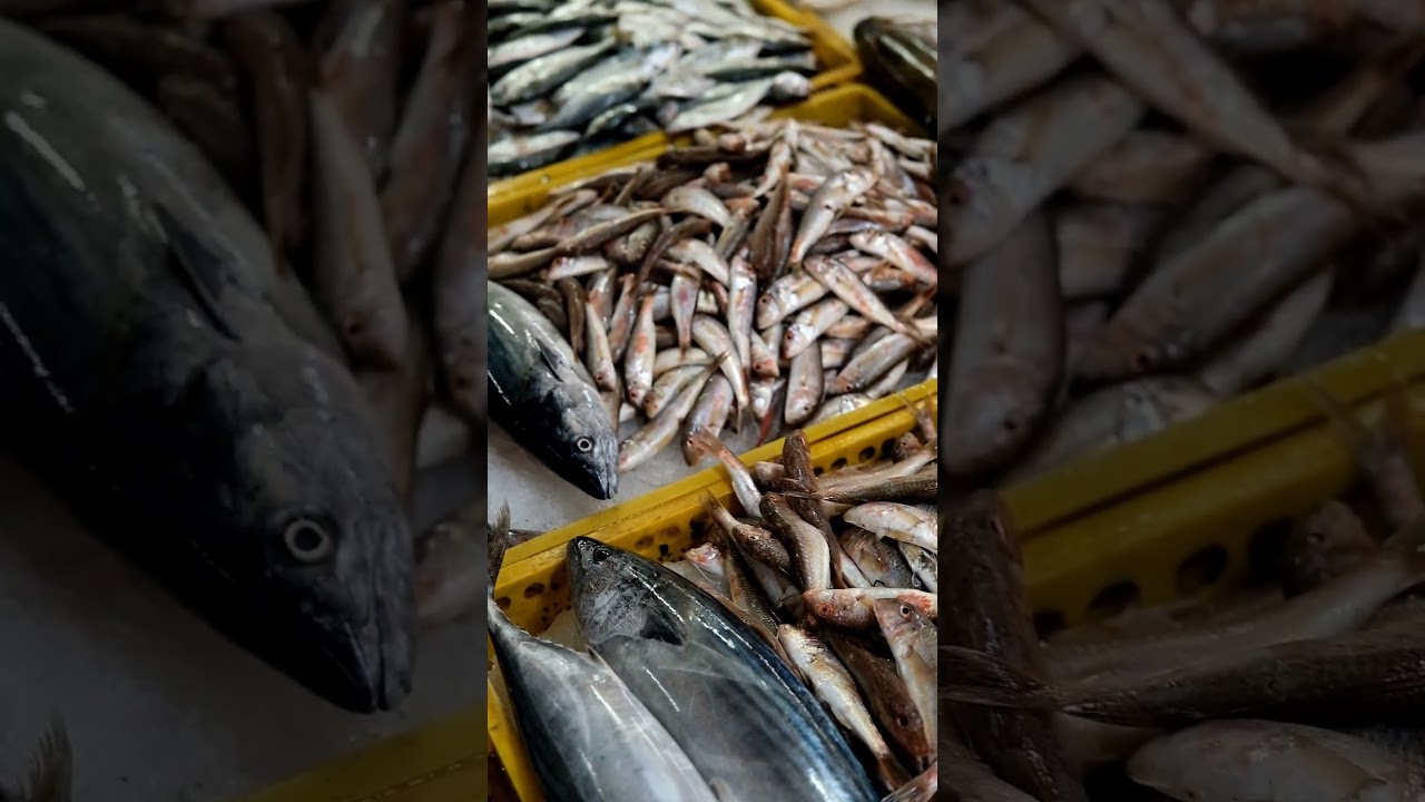 Грузия 2022. Фотограф и видеограф Анна Жагорина