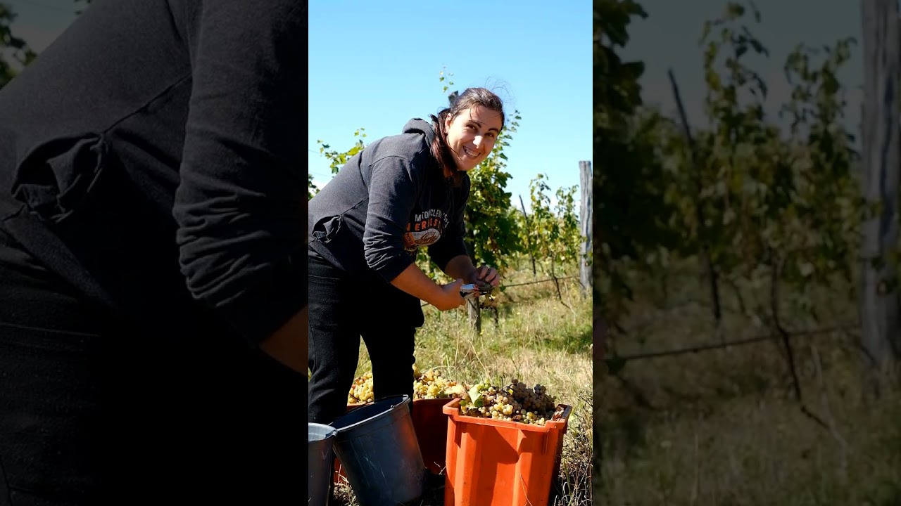 Грузия 2022. Фотограф и видеограф Анна Жагорина