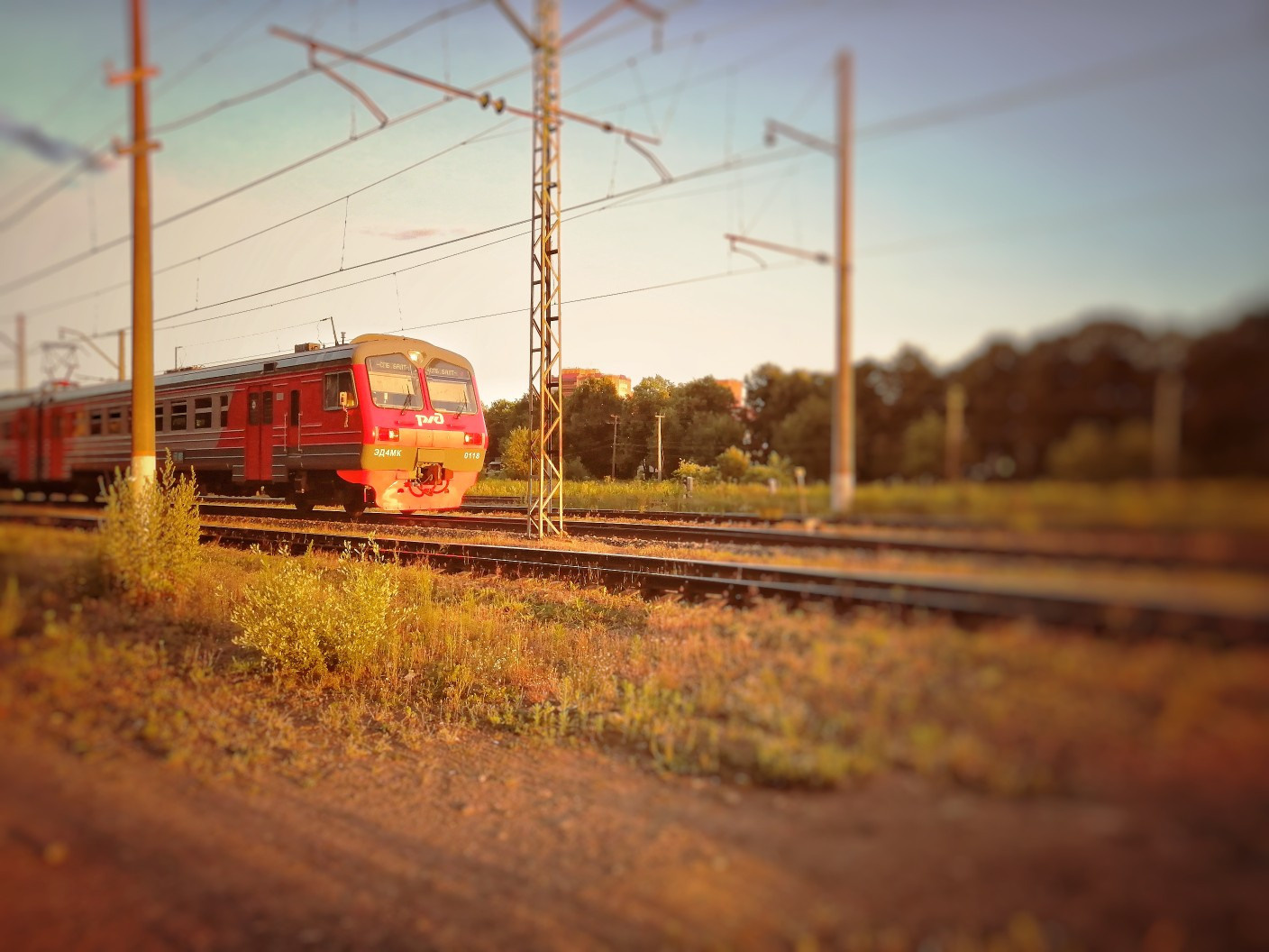 Фотограф Анастасия Белякова в Санкт-Петербурге и Гатчине