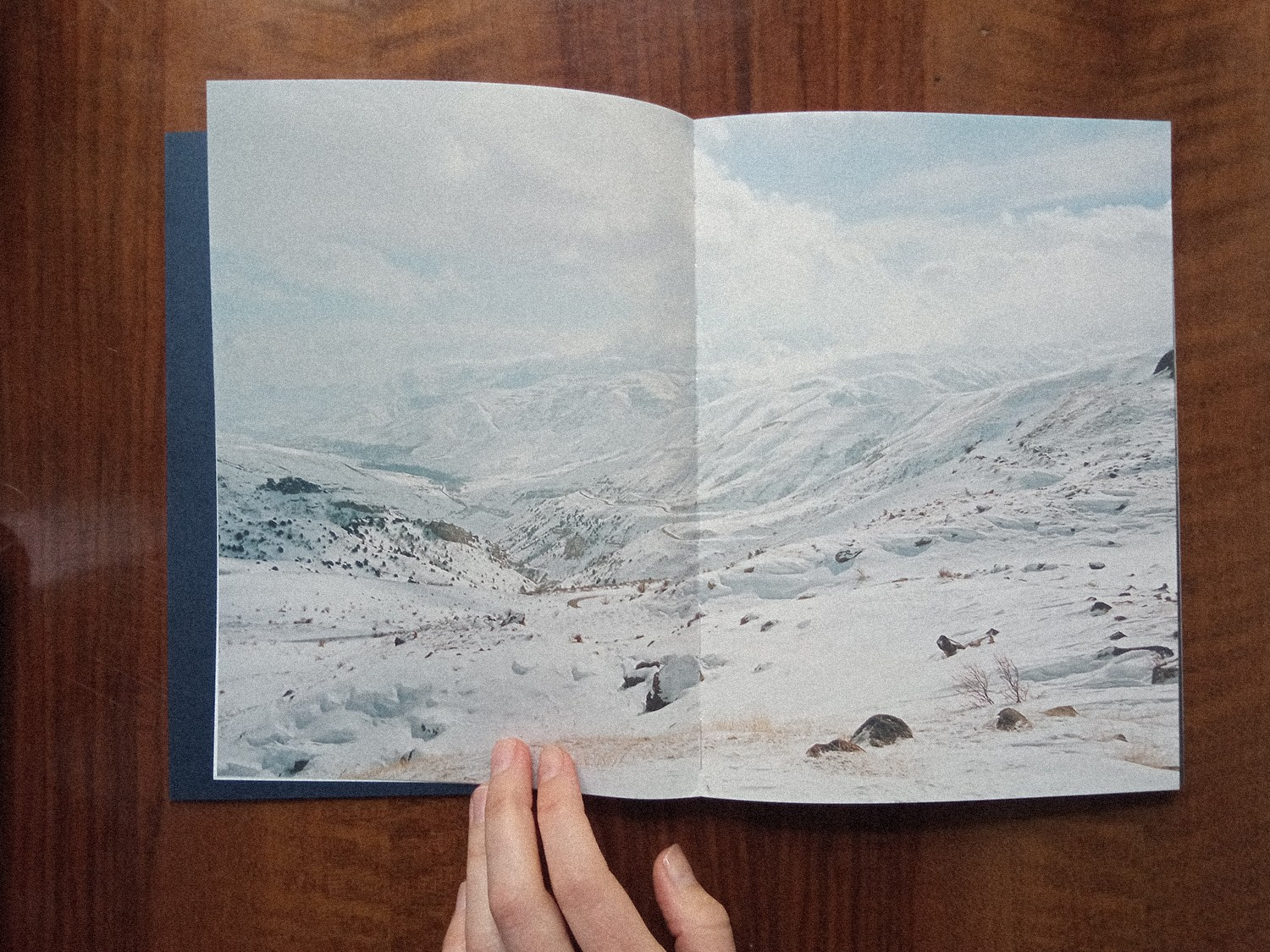 Книга «Dame Gulizar and Other Love Stories» Ребекки Топакян. Private image