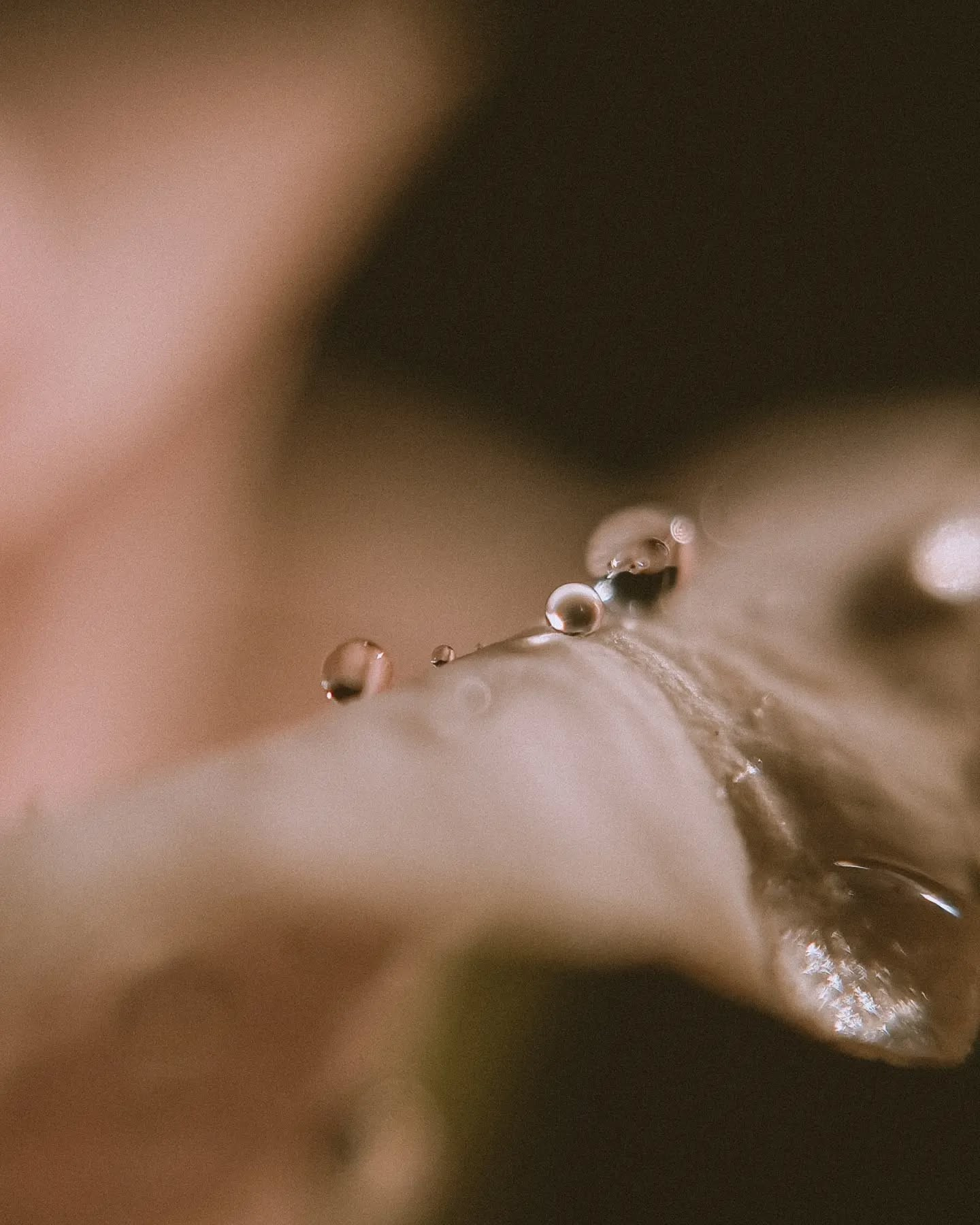 Фотограф из Санкт-Петербурга/Катерина Зайцева