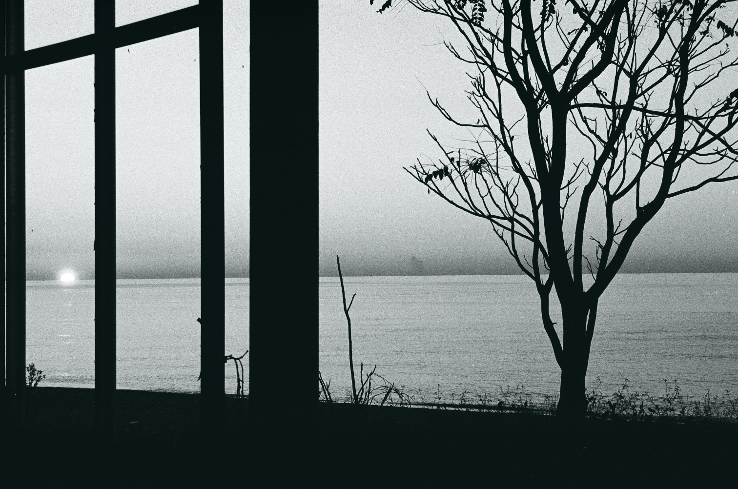 Морские прогулки с Nikon N8008. Artkapella|Олег Кузнецов