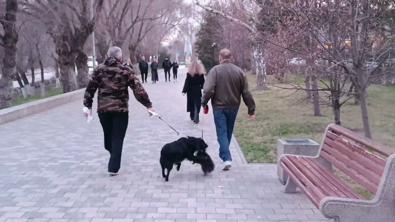 Видеотека. Марина Рыбкина — Глубинная психология