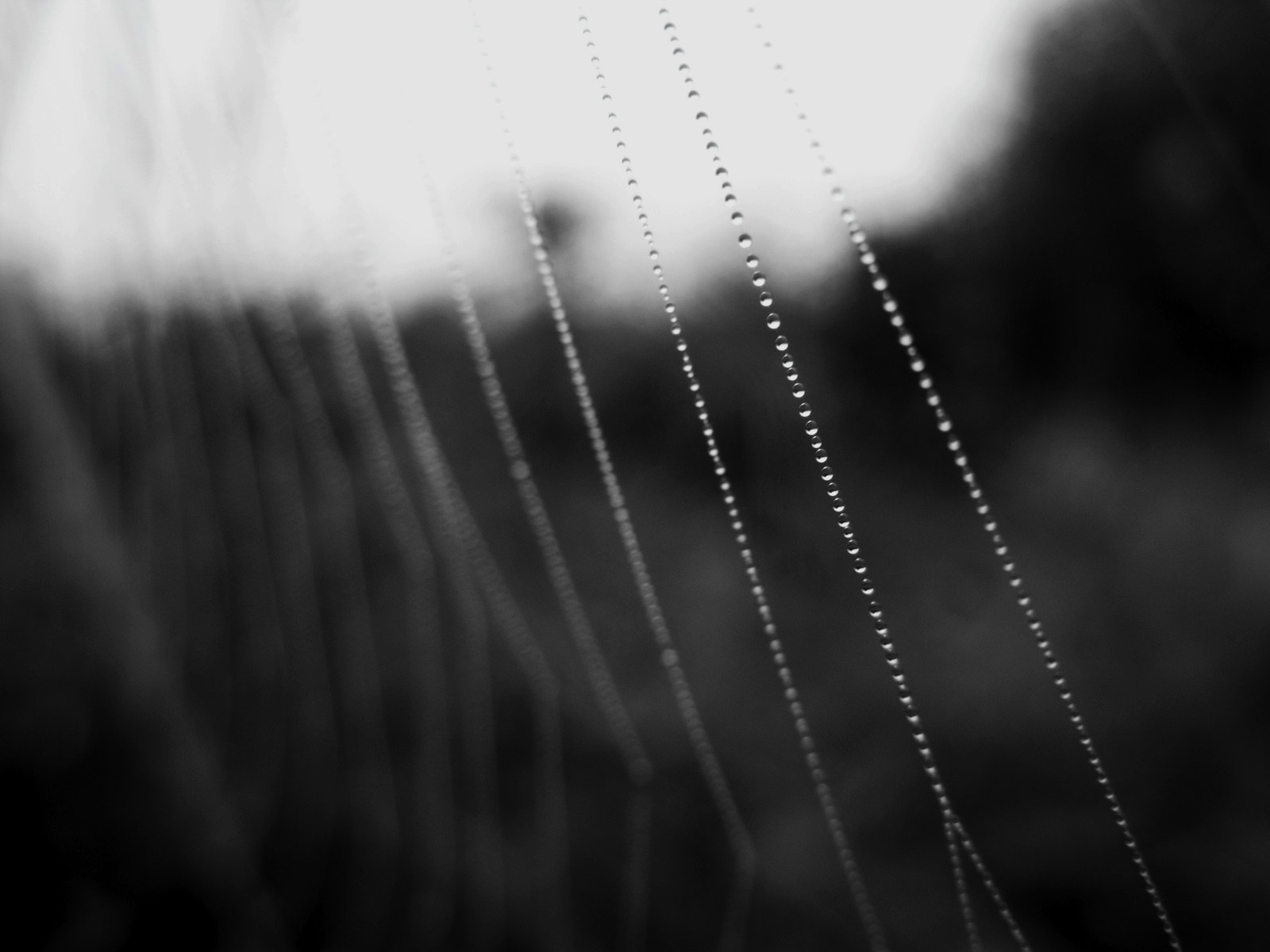 Нюта Арт, фото-видео креатор. Nuta ART - photo-video creator