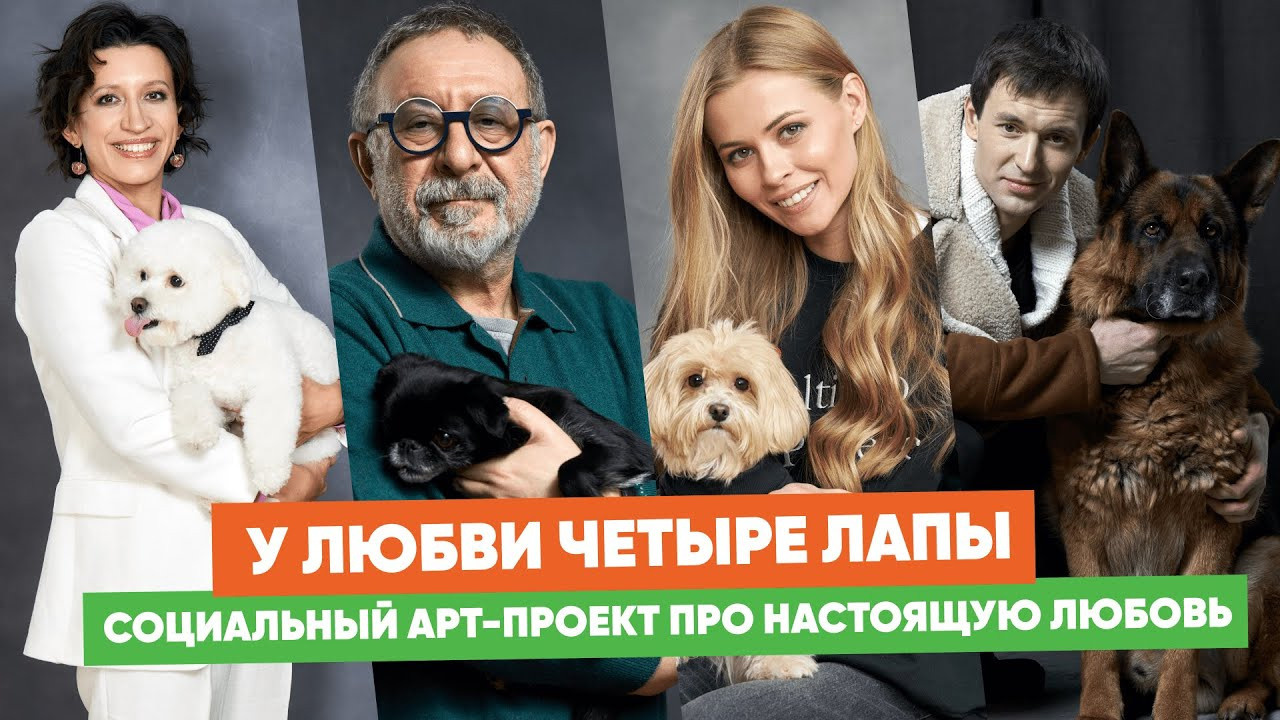 «У любви четыре лапы»: в Москве открывается необычная выставка. Фотограф Михаил Стенин