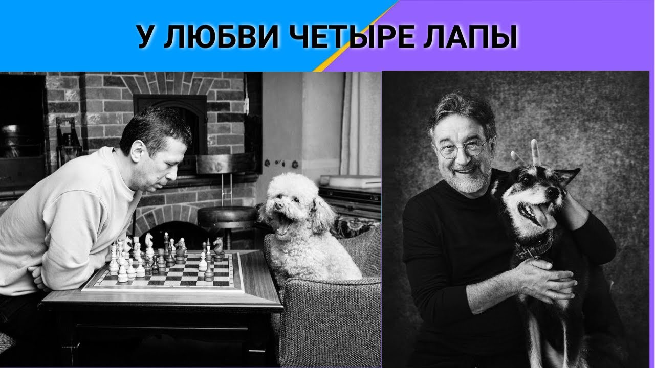 «У любви четыре лапы»: в Москве открывается необычная выставка. Фотограф Михаил Стенин