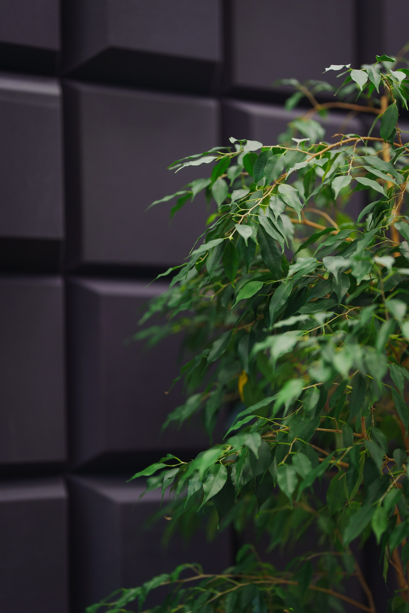 Интерьерная фотосъёмка клиники «СлышуВижу» в Уфе | Фотограф для бизнеса Уфа