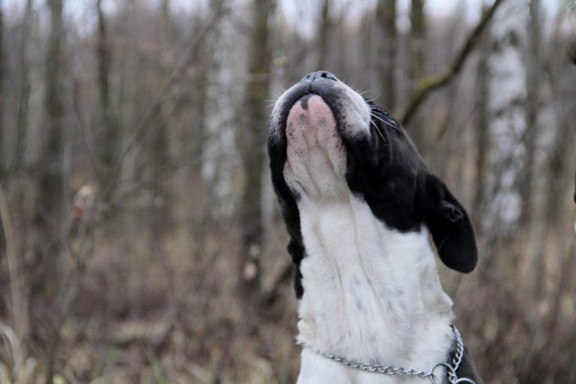 Катя Попова|ЛайфСтайл фотограф