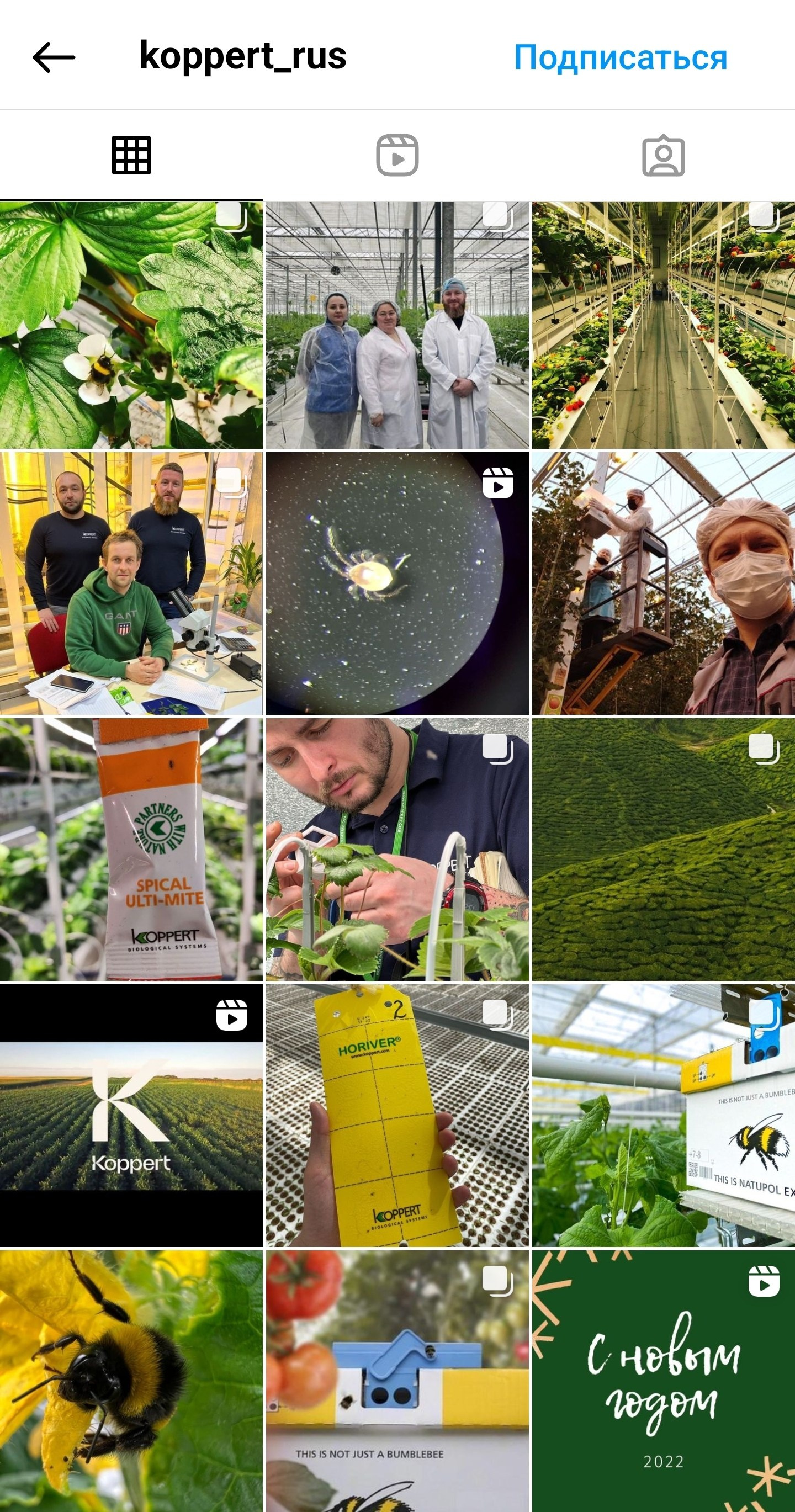 Консультации по продвижению и проявленности от натафото. Фотограф НатаФото (Наталья Яковенко) Дмитров Москва Питер