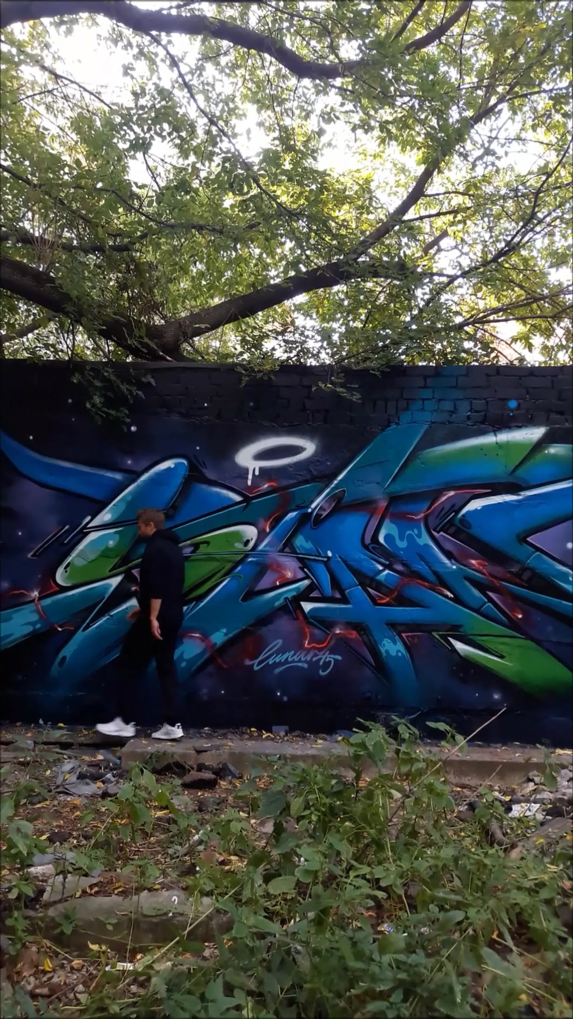 Graffiti. Alexander Stan Shimanov