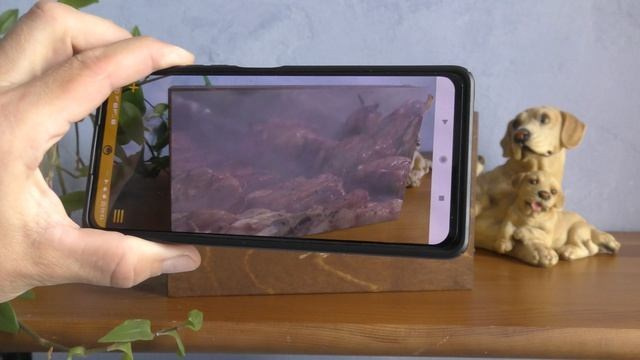 Фотограф, видеограф на юбилей