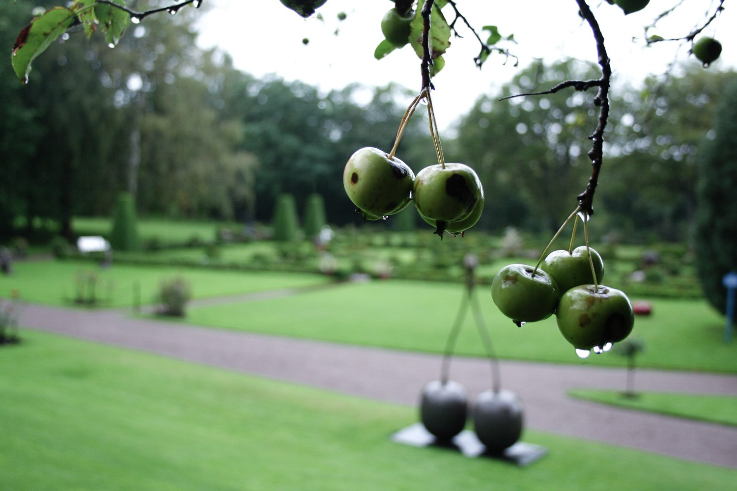 Фотограф и личные проекты. Ира Зимина — портретный фотограф и художник в Калиниграде и Москве