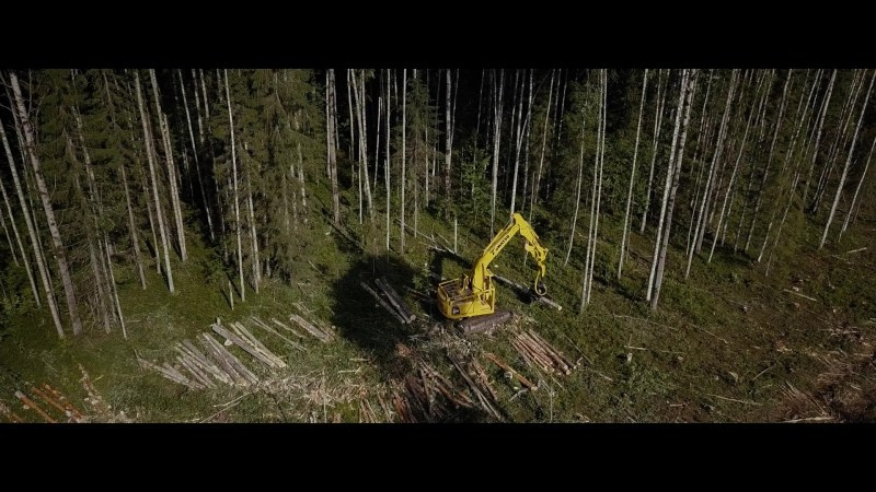 Видео для бизнеса. Видеограф Сергей Болотов