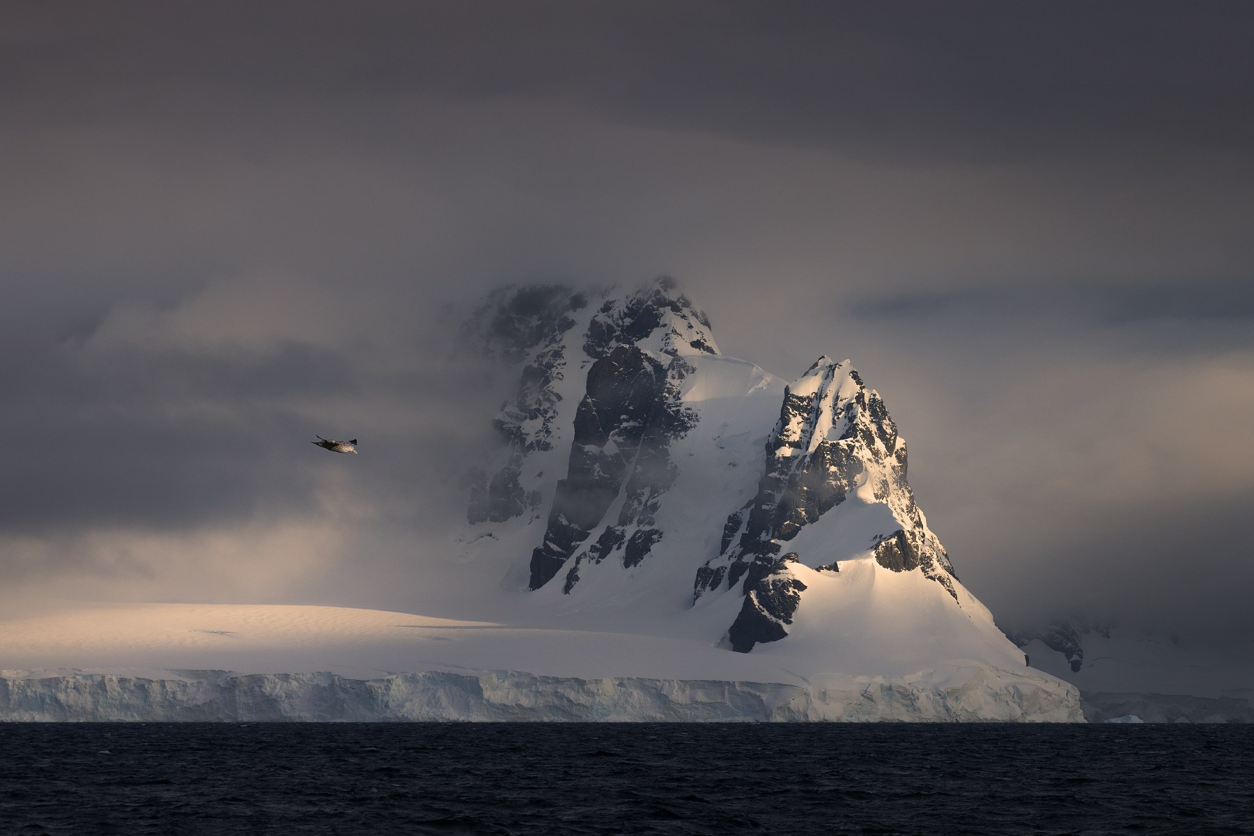 Антарктида, мыс Кейп-Ренард