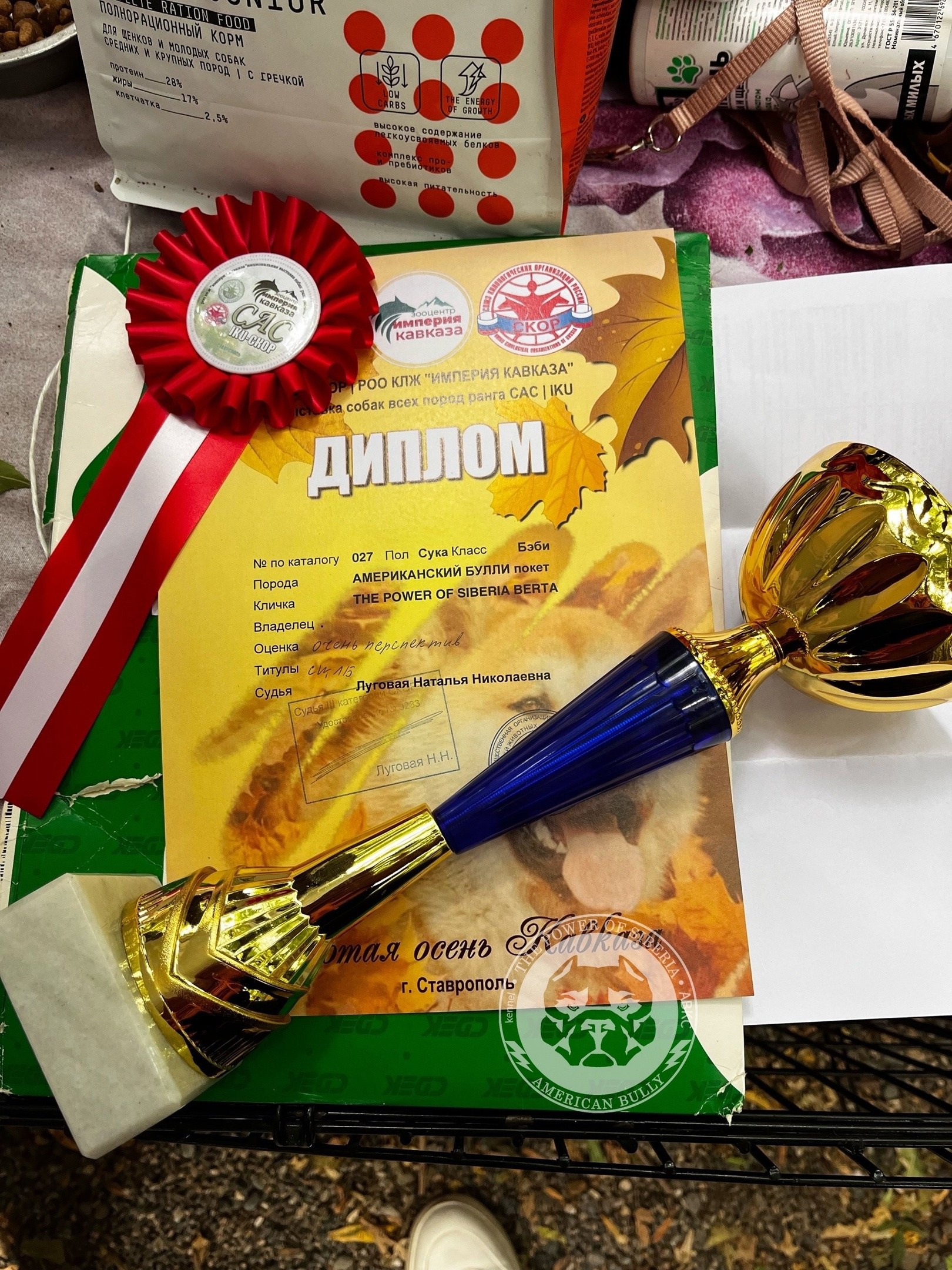 американский булли Юг, американский булли южный округ, лучшие американские булли на юге россии, топовые булли в россии, топовые американские булли в россии, ТОП булли, Топ американский булли, самые крутые американские булли, булли клаccик, булли покет, булли стандарт, булли экзот, булли xl, амeриканский булли, щенок булли, американский булли питомник, американский булли купить, американский булли щенок, американский булли москва, американский булли ростов-на-дону, американский булли краснодар, американский булли ставрополь, американский булли волгоград, американский булли семфирополь, американский булли ставрополь, американский булли сочи, американский булли воронеж, американский булли питер, американский булли санкт-петербург, американский булли Казань, американский булли Новосибирск, американский булли Челябинск, американский булли Ростов, американский булли Луганск, американский булли Донецк, американский булли покет, американский булли классик.американский булли ,американский булли щенки , американский булли купить ,американский булли фото , американский булли покет , собака американский булли , порода американский булли , американский булли цена , купить щенка американского булли ,американский булли характеристика , порода собак американский булли, питомник американских булли , американский булли отзывы, американский булли стандарт , американский булли отзывы владельцев, американский булли xl , россия американские булли , американские булли москва , американский булли вес , американский булли цена щенка, американский булли породы собак сша , американский булли размеры , американский булли классик , американский булли классика , американский булли характеристика породы , авито американский булли , сколько стоит американский булли , окрасы американских булли , американский булли виды , американский булли типы , американский булли цена в россии , американский булли экзот , американский булли микро , американский булли мини , собака американский булли фото , американский булли спб , американский булли характер , минусы американского булли , купить американского булли в москве , американские булли сколько щенков , плюсы американского булли , американский булли плюсы и минусы , взрослый американский булли , американский булли фото цена , американский булли фото щенков , американский булли крым , сколько живут американские булли , американский булли описание , американский булли купить авито , американский булли ростов , собачий питомник , питомник для собак , собаки , порода , щенки, щенок для детей, щенок для ребенка, щенок для семьи, собака для ребенка, питомник BULLY LOVERS, питомник THE POWER OF SIBERIA, питомник Ultimate Bully, питомник FORTIS FORTUNA VALIDI, питомник EXTREME BEAR, питомник American Dream, Питомник RUSSIAN BULLS, питомник ТАРУС & BULLY LAND, питомник Bully Ranch P&N, Питомник ANTREABULLS, питомник Ambully House, питомник Mar Nero, питомник Alfabulls, #micro #microbully #ambully #ambullys #ambullylife #ambullyforlife #ambullyworld #ambullylove #ambullylover #ambullylovers #ambullyloversfans #americanbullybreed #americanbullykennelclub #американскийбуллипитомник #bullies #bulliesallday #bulliesofig #bulliesofinsta #bulliesofinstagram #instabullies #bullieslife #bullymag #americanbully_feature #americanbullydog #tribullies #americanbullyblue #americanbullytricolor #bullystick #americanbullyStud, американский булли,американский булли щенки,американский булли купить,американский булли покет,американский булли фото,собака американский булли,порода американский булли,американский булли цена,американский булли купить щенка,американский булли характеристика,порода собак американский булли,американский булли отзывы,питомник американских булли,американский булли стандарт,американский булли отзывы владельцев,россия американские булли,американский булли виды,американский булли цена щенка,сколько стоит американский булли,американский булли цена в россии,американские булли москва,американский булли xl,американский булли размеры,типы американских булли,американский булли мини,американский булли вес,авито американский булли,американский булли породы собак сша,американский булли микро,американский булли характеристика породы,американский булли экзот,американский булли классик,американский булли классика,собака американский булли фото,американский булли характер,минусы американского булли,американские булли спб,американский булли окрасы,американский булли купить в москве,американские булли сколько щенков,плюсы американского булли,американский булли видео,американский булли плюсы и минусы,американский булли щенок фото,взрослый американский булли,американский булли девочка,американский булли описание,сколько живут американские булли,американский булли покет купить,американский булли крым,american bully,american bully ru,american bully ru shchenki,https american bully ru,https american bully ru shchenki,american bully xl,american bully питомник,american bully dog,american bully kennel,american dream bully,american bully pocket,american bully kennel club,all american bully фильм смотреть,american bully xxl,reddit american bully,american bully ru shchenki html,american bully wise,celina innovations crochet american bully part,https american bully ru shchenki html,american bully classic,питомник американских булли,питомник собак американский булли,питомник американских булли в крыму,питомник собак в крыму американские булли,питомник в крыму американский булли последние,питомник американских булли в москве,американские булли купить питомник,питомник американских булли в россии,питомник американских булли покеткупить щенка американский булли питомник,американские булли цена питомники,питомник американских булли в спб,питомник американских булли яна,купить американского булли в москве питомник,питомник американских булли в москве и московской,официальные питомники американских булли,крым питомник американских булли яна,булли американский купить питомник цена,москва и область питомники американских булли,питомник американских булли яна и гоша,американские булли подмосковья питомник,американский булли стандарт питомник,питомник американских булли екатеринбург,питомник американских булли ростов,лучшие питомники американских булли,питомник собак крым американский булли яна,яна питомник собак американский булли,американский булли купить в спб питомник,американский булли питомник львиное сердце уфа,американский булли питомник львиное сердце уфа вк,американский булли лучший питомник россии,американский булли питомник краснодар,американский булли купить спб щенка питомник,американский булли покет питомник москва,американский булли сайт питомник,питомник американский булли официальный сайт,питомник американских булли в челябинске,питомники американских булли в россии список лучших,питомник собак американских булли серпухов,питомник собак дзен американский булли,американский булли xl питомник,питомник американских булли в талдоме,питомник и цена американ американский булли,фаворит гигант питомник американских булли,американский булли купить,американский булли купить щенка,американский булли купить в москве,американский булли покет купить,американский булли купить щенка в москве,американский булли купить авито,купить американский булли цена,купить американского булли в спб,купить собаку американский булли,американский булли купить щенка цена,американский булли покет купить щенка,американский булли купить в беларуси,американский булли стандарт купить,американский булли купить москва московская область,купить американского булли в россии,купить американского булли в московской области,американский булли купить в екатеринбурге,американский булли купить в новосибирске,американский булли купить щенка в спб,