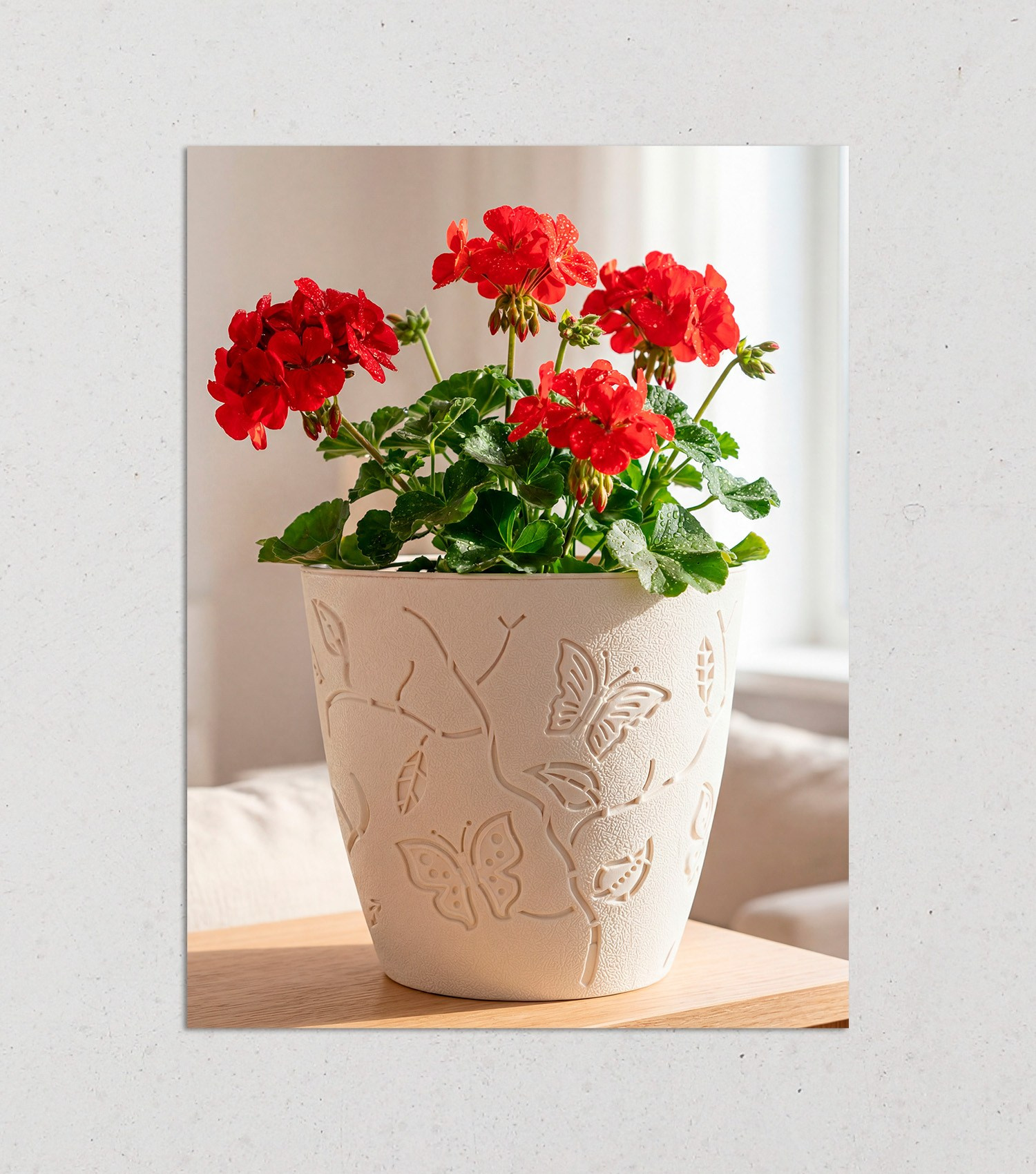 Маркетплейс № 2. Графический дизайнер Анкин Павел