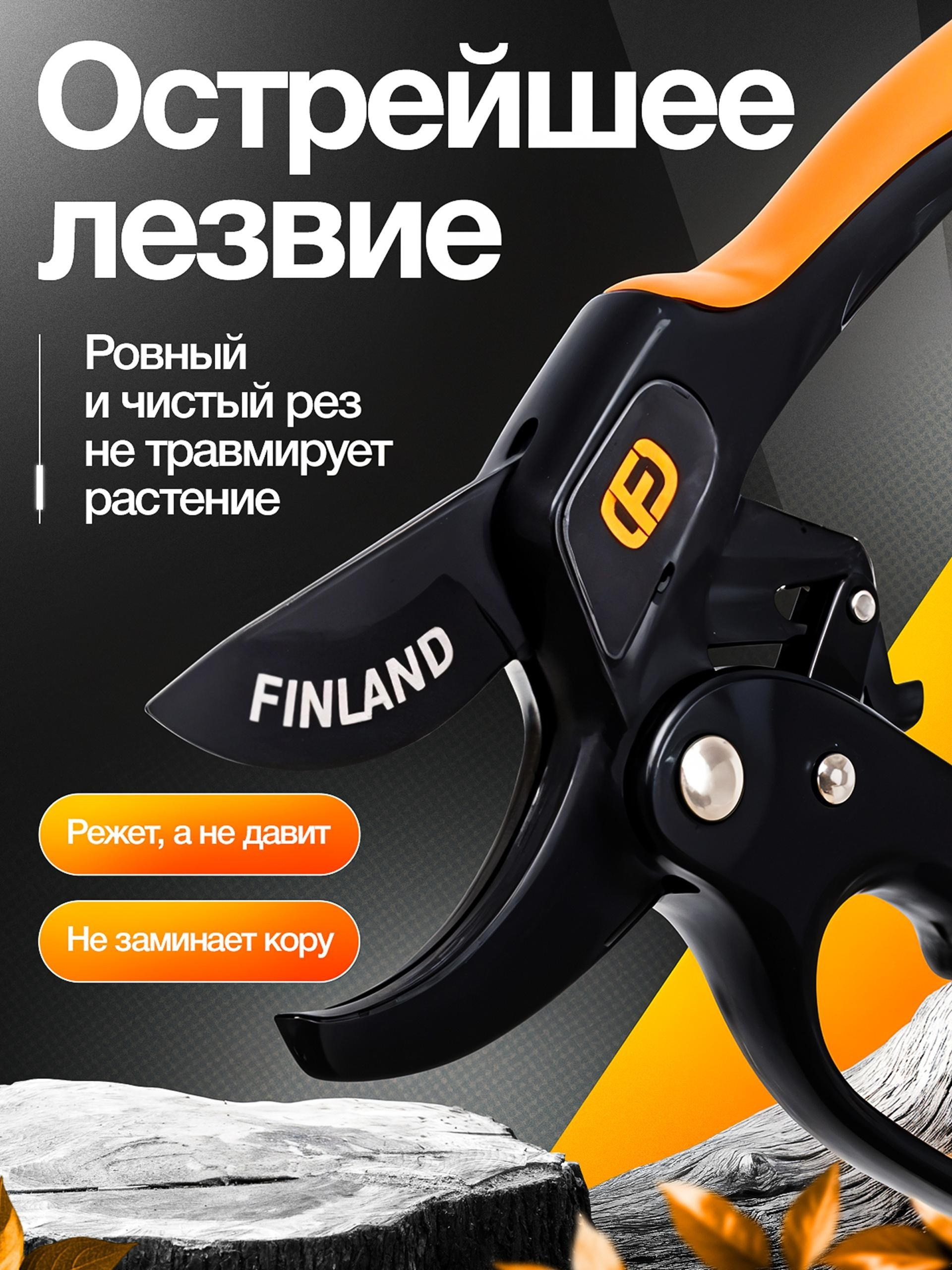 Vexora студия дизайна для e-commerce, рост продаж на Wildberries и Ozon