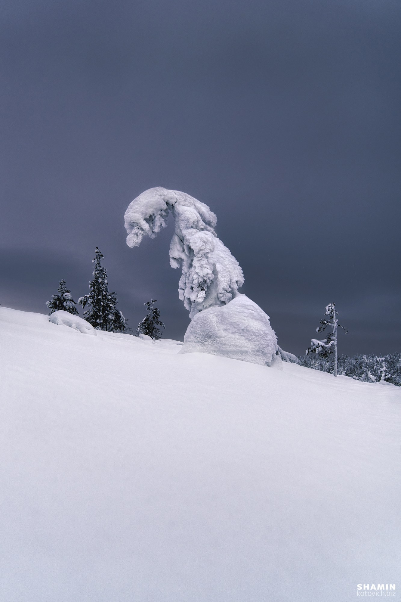 Пейзажи Кольского полуострова — северное сияние, тундра, Баренцево море и горы Хибины. Фотографии дикой природы и северного света на Кольском полуострове. Фотограф Константин Шамин