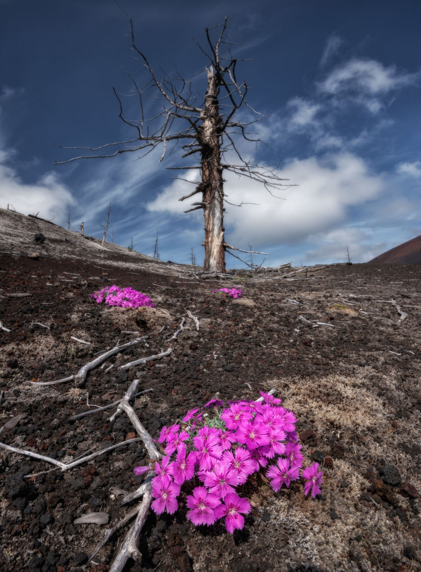 Фототур на Камчатку 2027