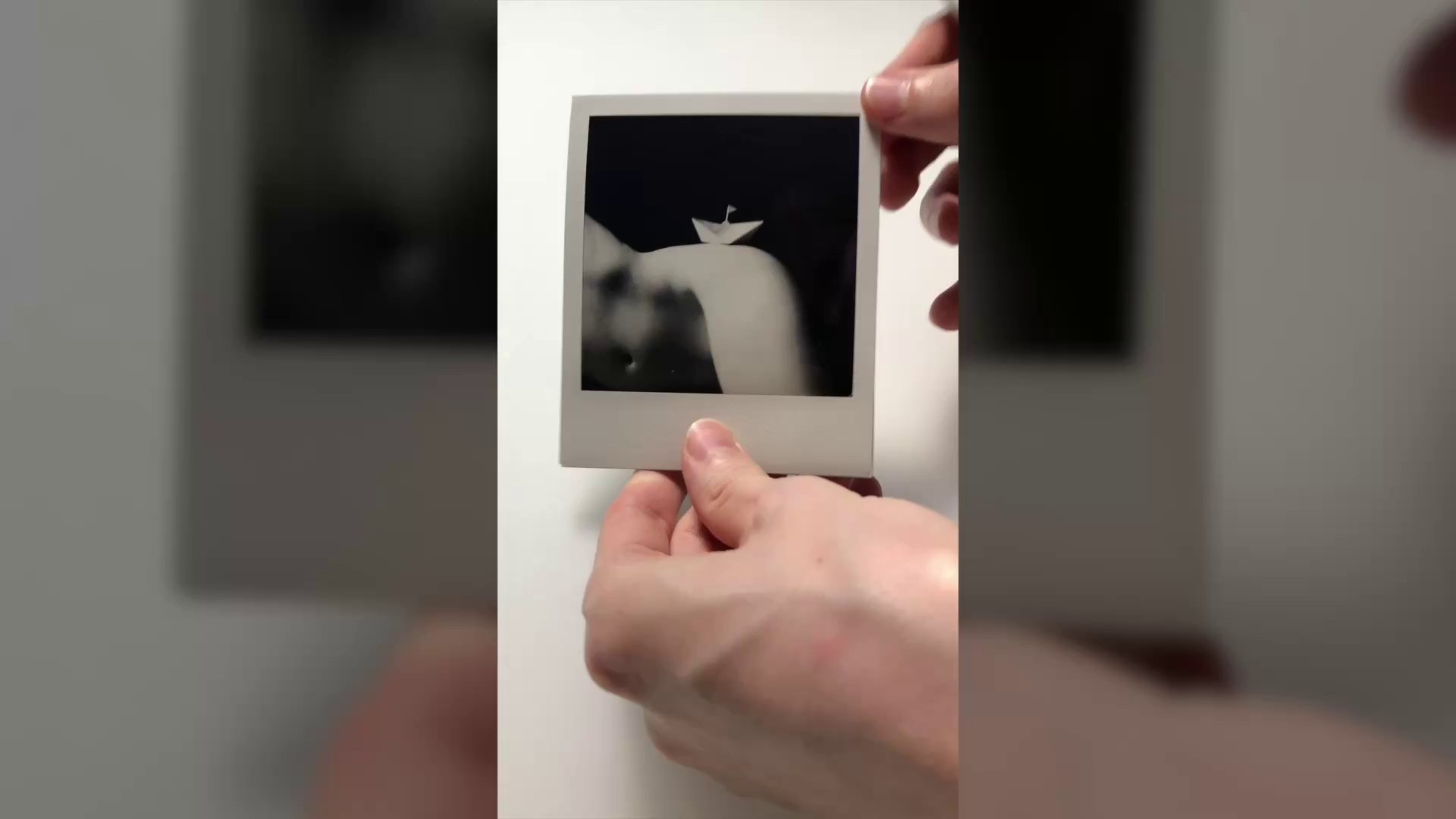 Liberation project by Vladimir Borele. Vladimir Borele Photographer