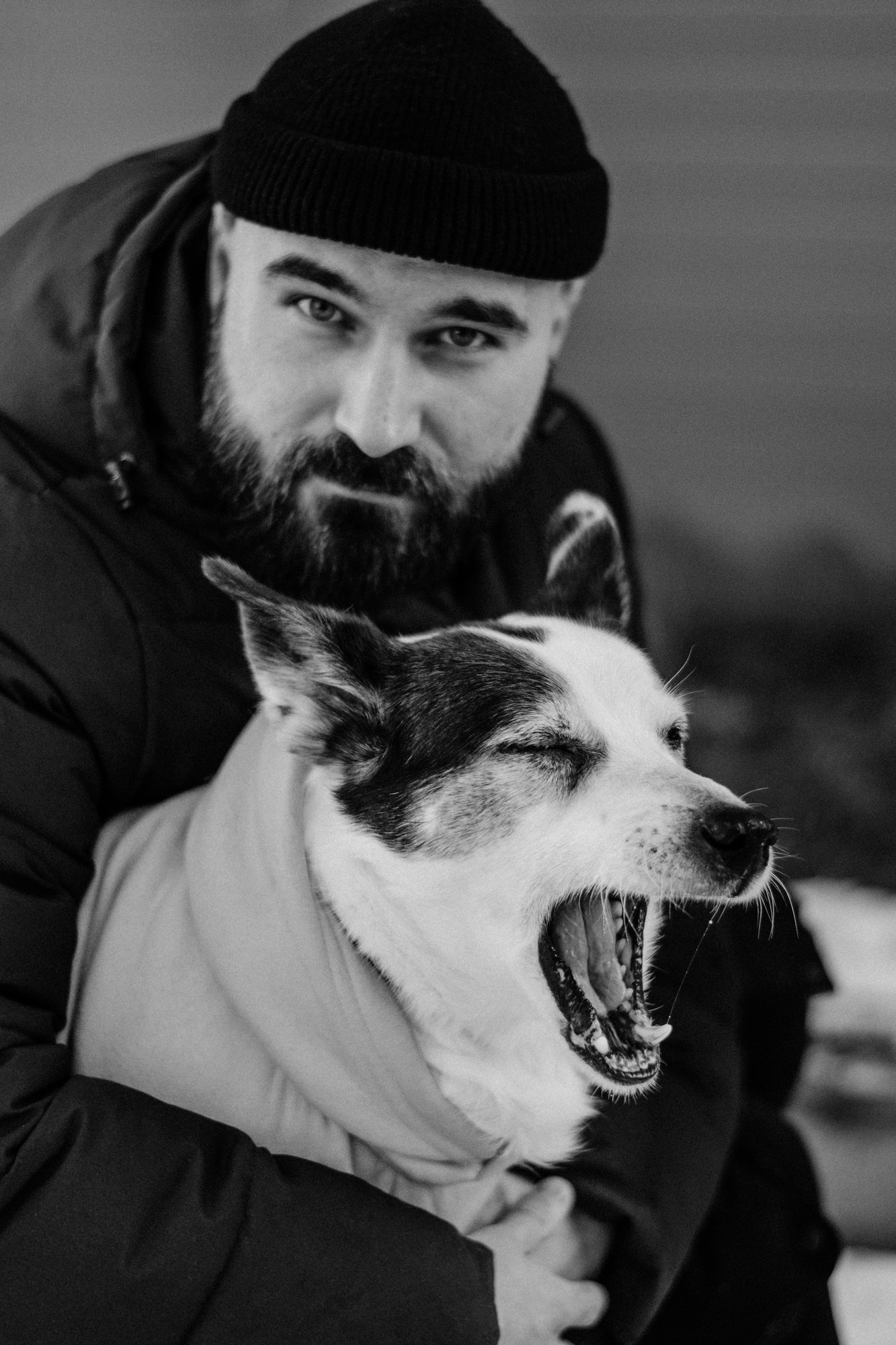 Фотосессия с собакой в Тюмени. Эмоциональные кадры с домашним питомцем.