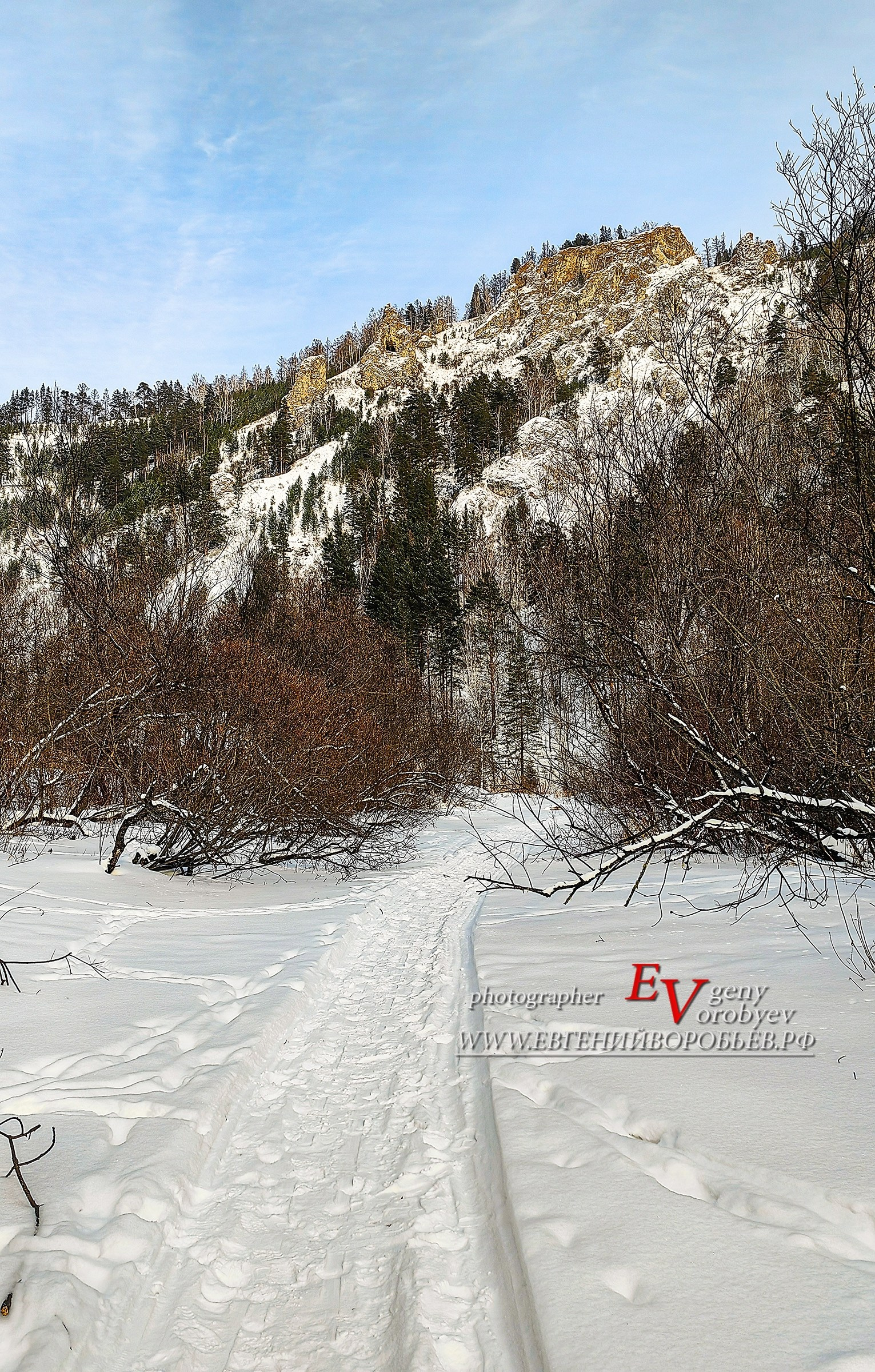 Тайга река Базаиха в Красноярске Торгашинский хребет Сибирь путешествие ель сосна зима снег поход идея выходные интересные места куда сходить горы лес природа