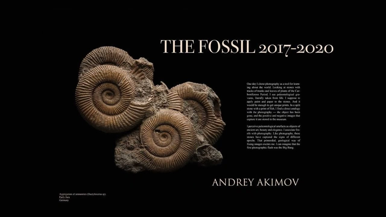 The Fossil. Andrey Akimov Photography