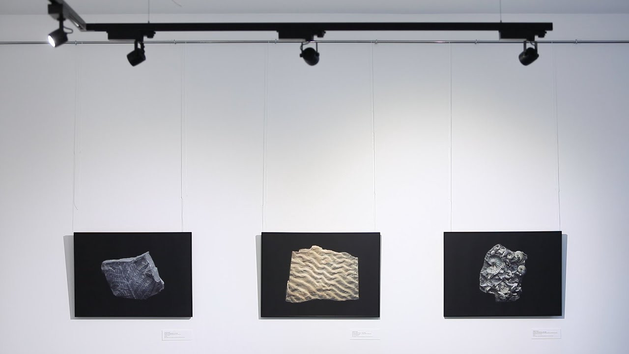 The Fossil. Andrey Akimov Photography