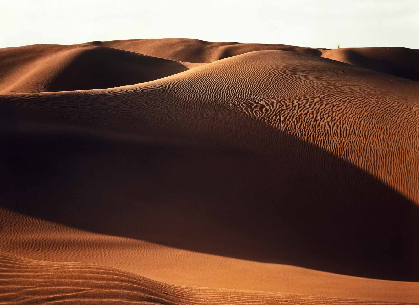 Коллекционные альбомы. ВАДИМ ГИППЕНРЕЙТЕР — ВЕЛИКИЙ ФОТОГРАФ ЗЕМЛИ РУССКОЙ